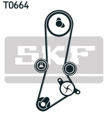 VKMC956603 SKF Комплект ремня ГРМ