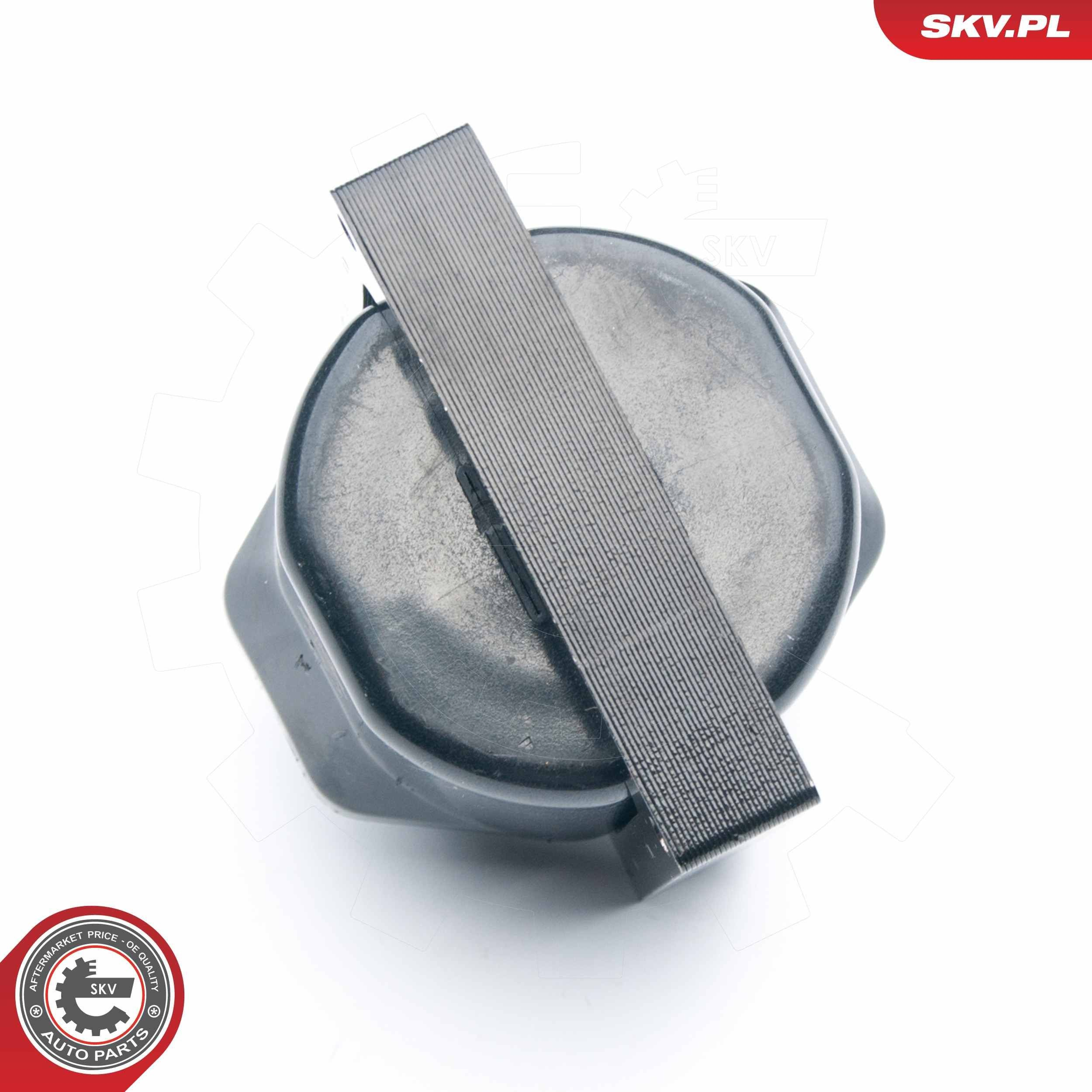 Модуль зажигания SKV 03SKV253 цена, от 22.72 USD