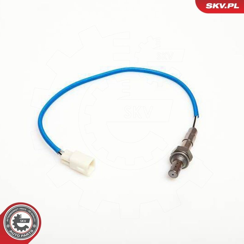  09SKV058 SKV