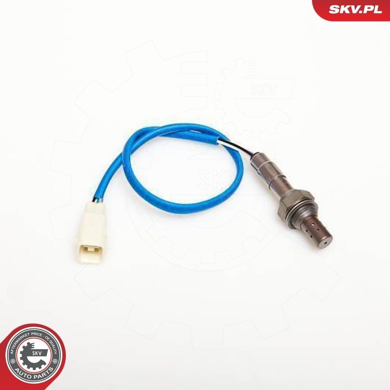  SKV 09SKV058