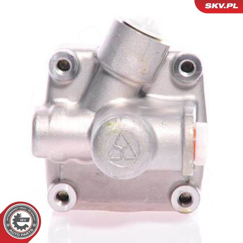 Насос ГУР 10SKV011 SKV