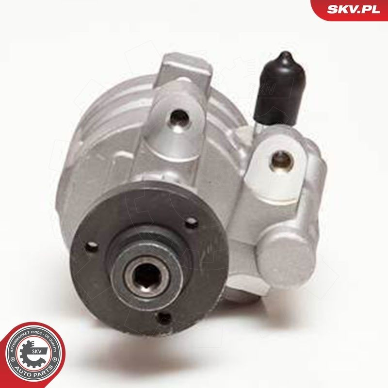 Насос гидравлики SKV 10SKV054 цена, от 125.93 USD
