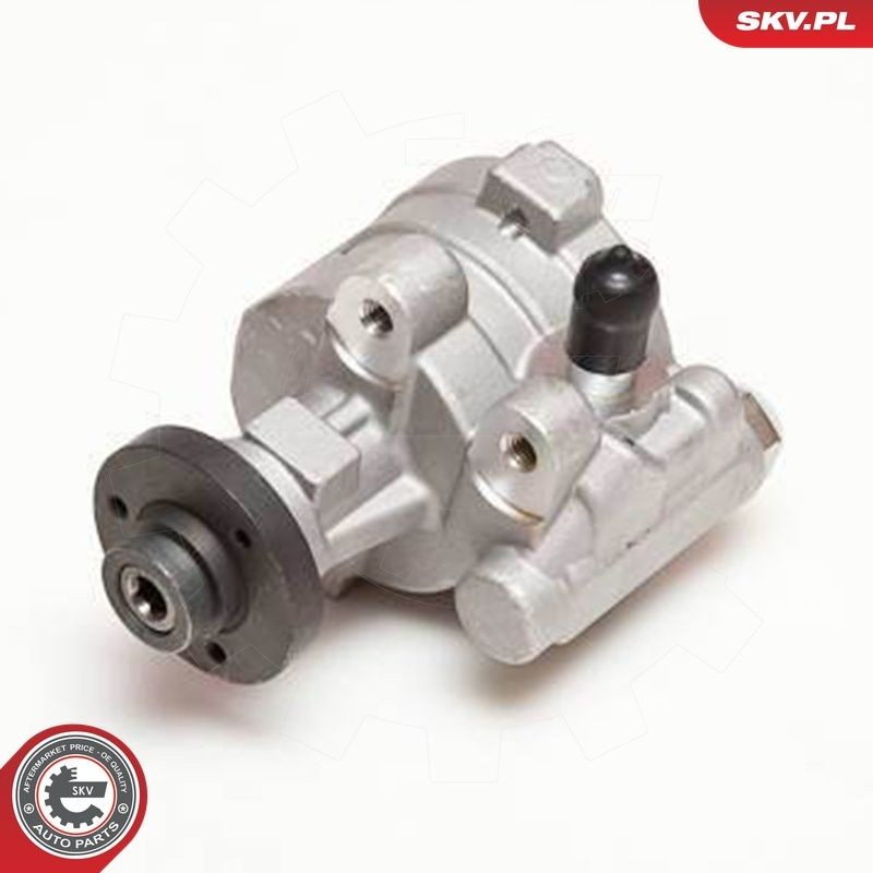 Насос ГУР 10SKV054 SKV