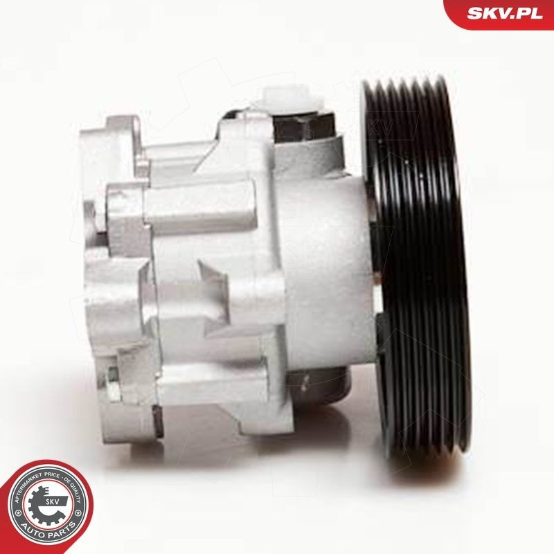 Насос ГУР 10SKV098 SKV
