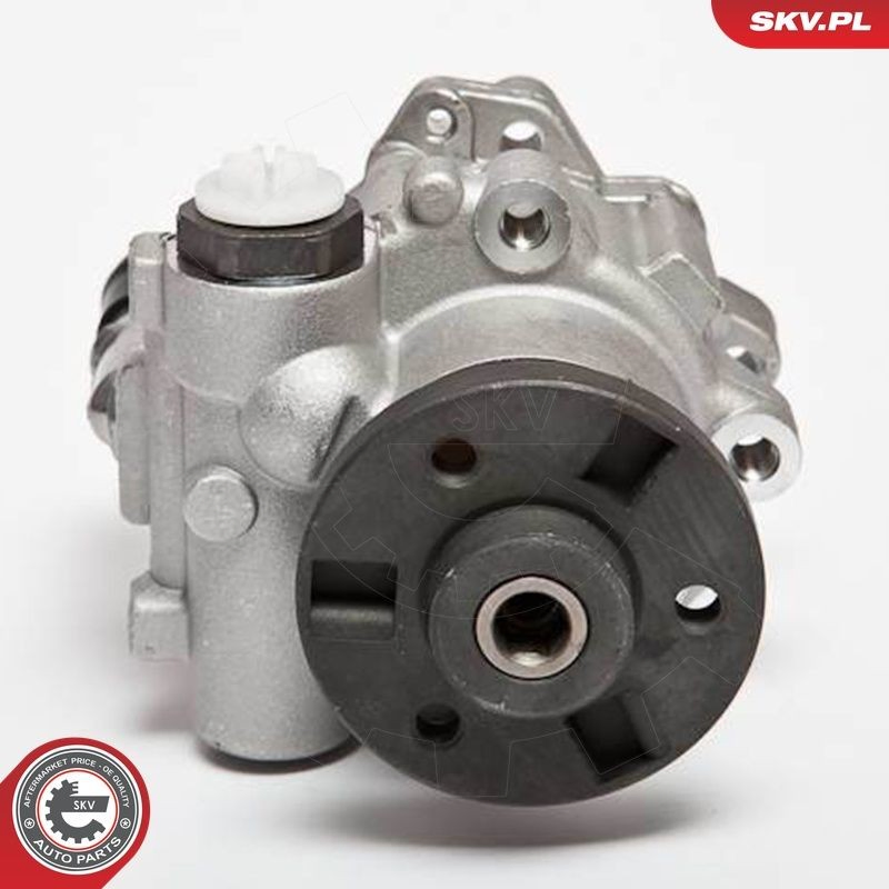 Купить 10SKV123 SKV Насос рулевого управления