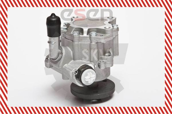 Насос ГУР 10SKV123 SKV