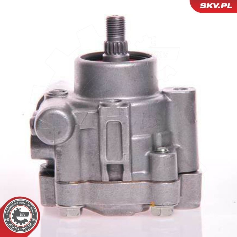 Насос ГУР 10SKV132 SKV