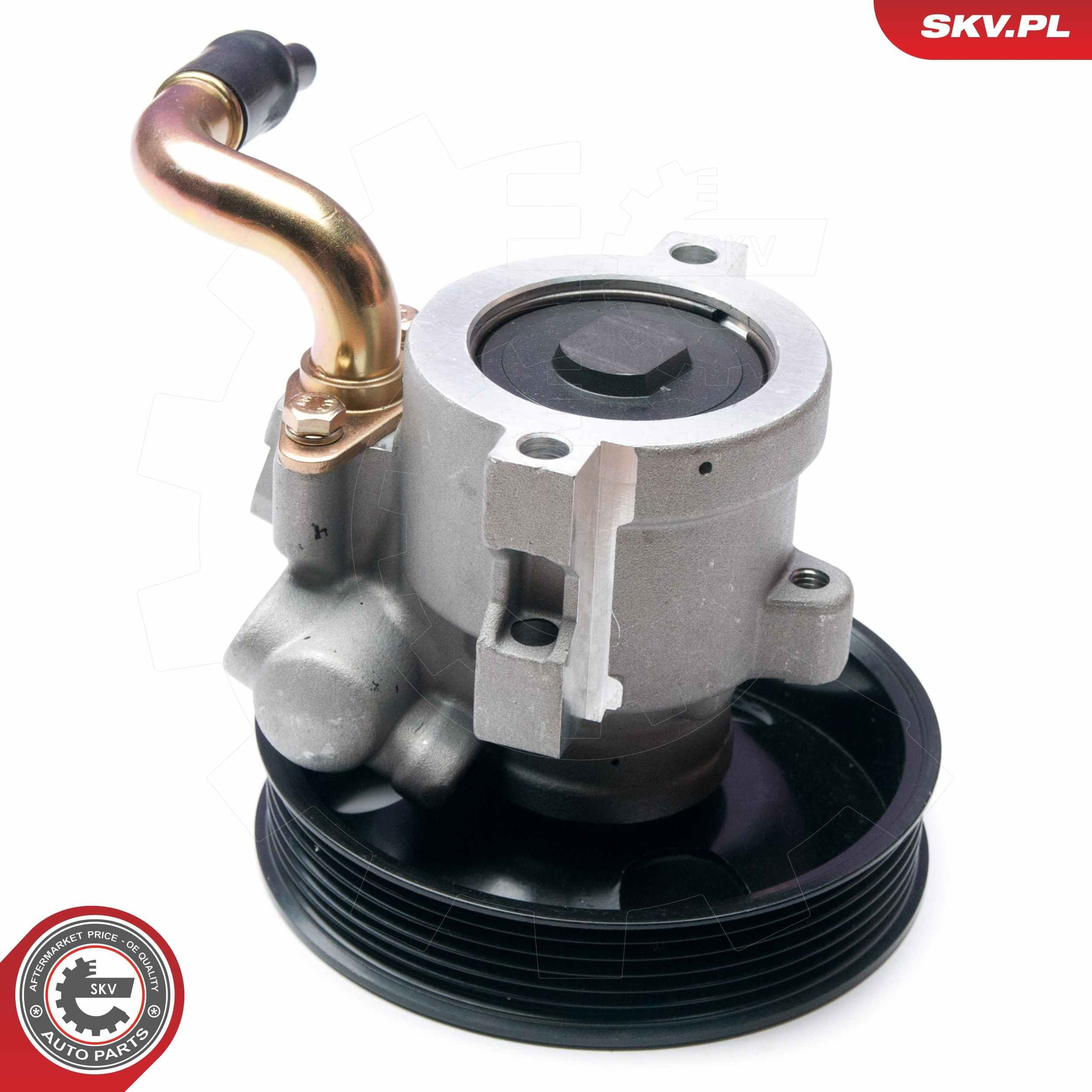 Насос гидроусилителя руля SKV 10SKV134