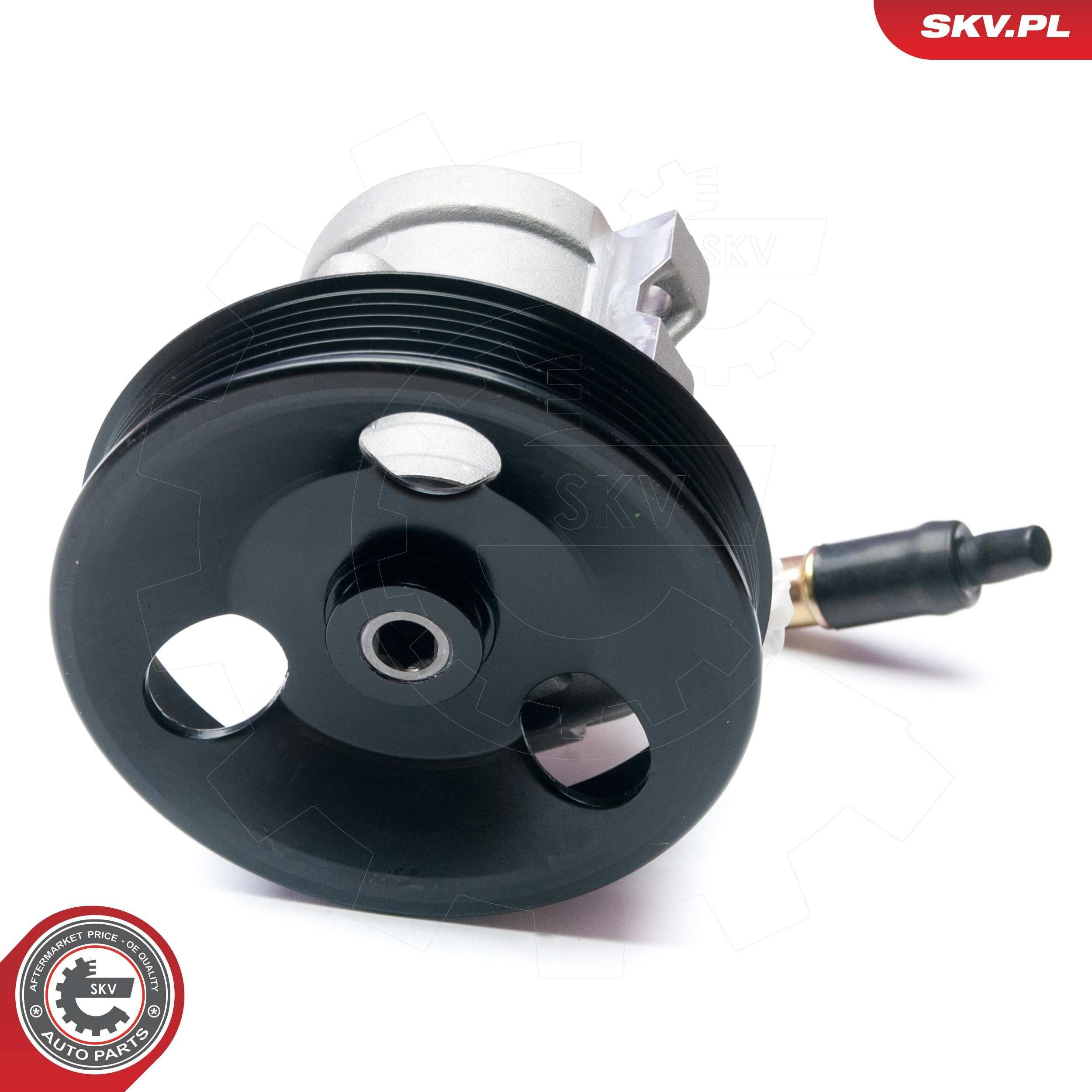 Купить 10SKV134 SKV Насос рулевого управления