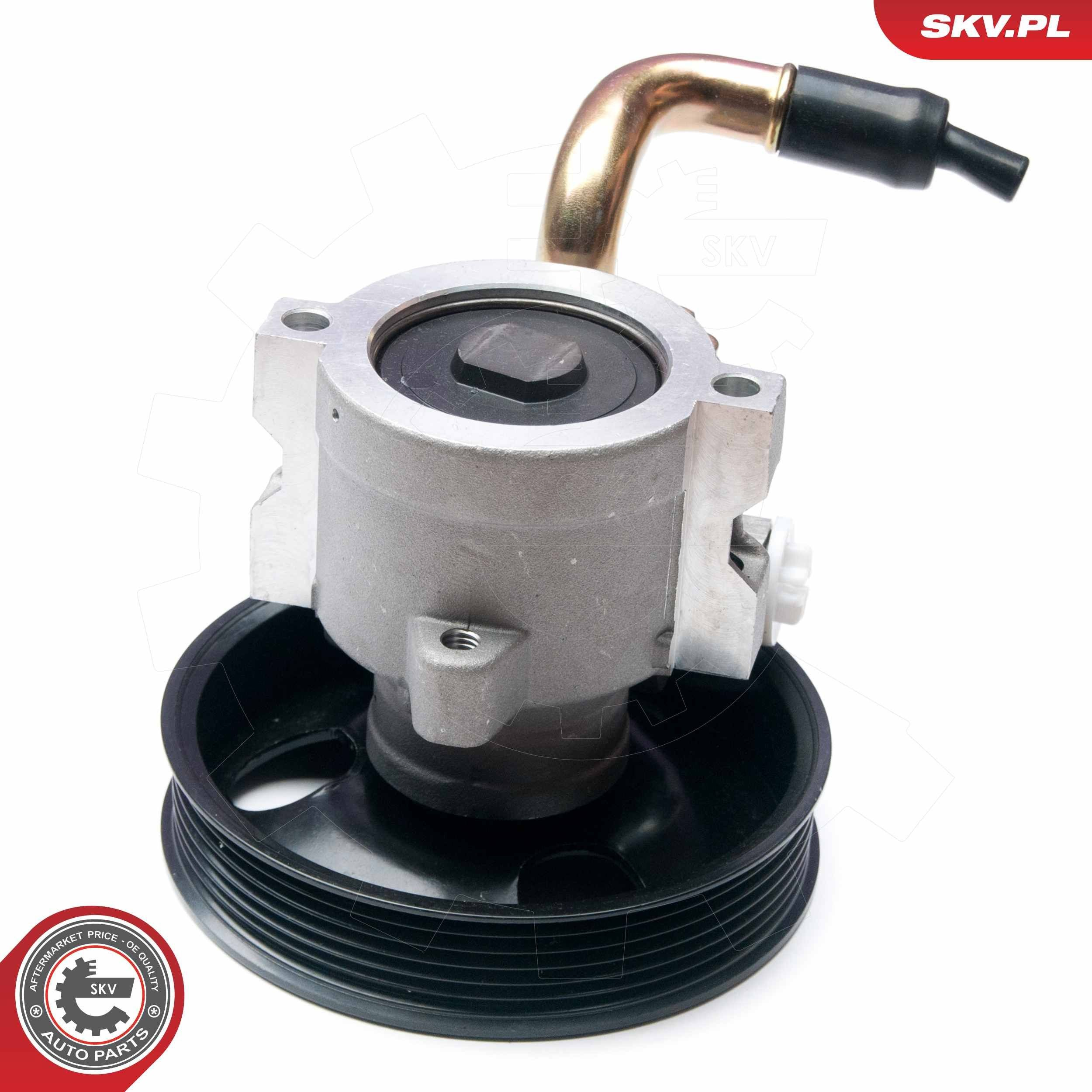 Насос ГУР 10SKV134 SKV