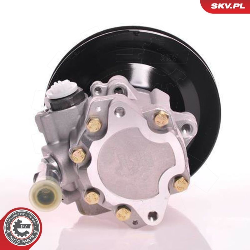 Купить 10SKV169 SKV Насос рулевого управления