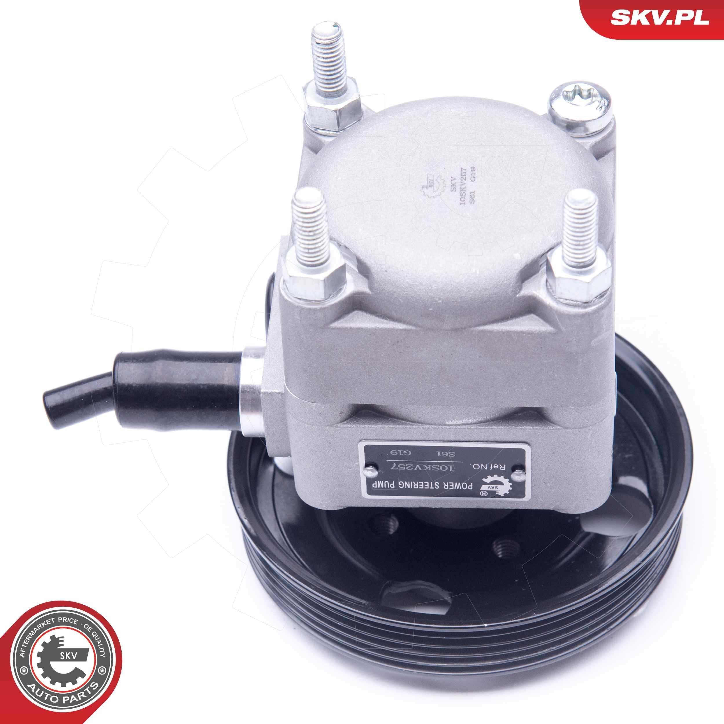 10SKV257 SKV ГУР руля