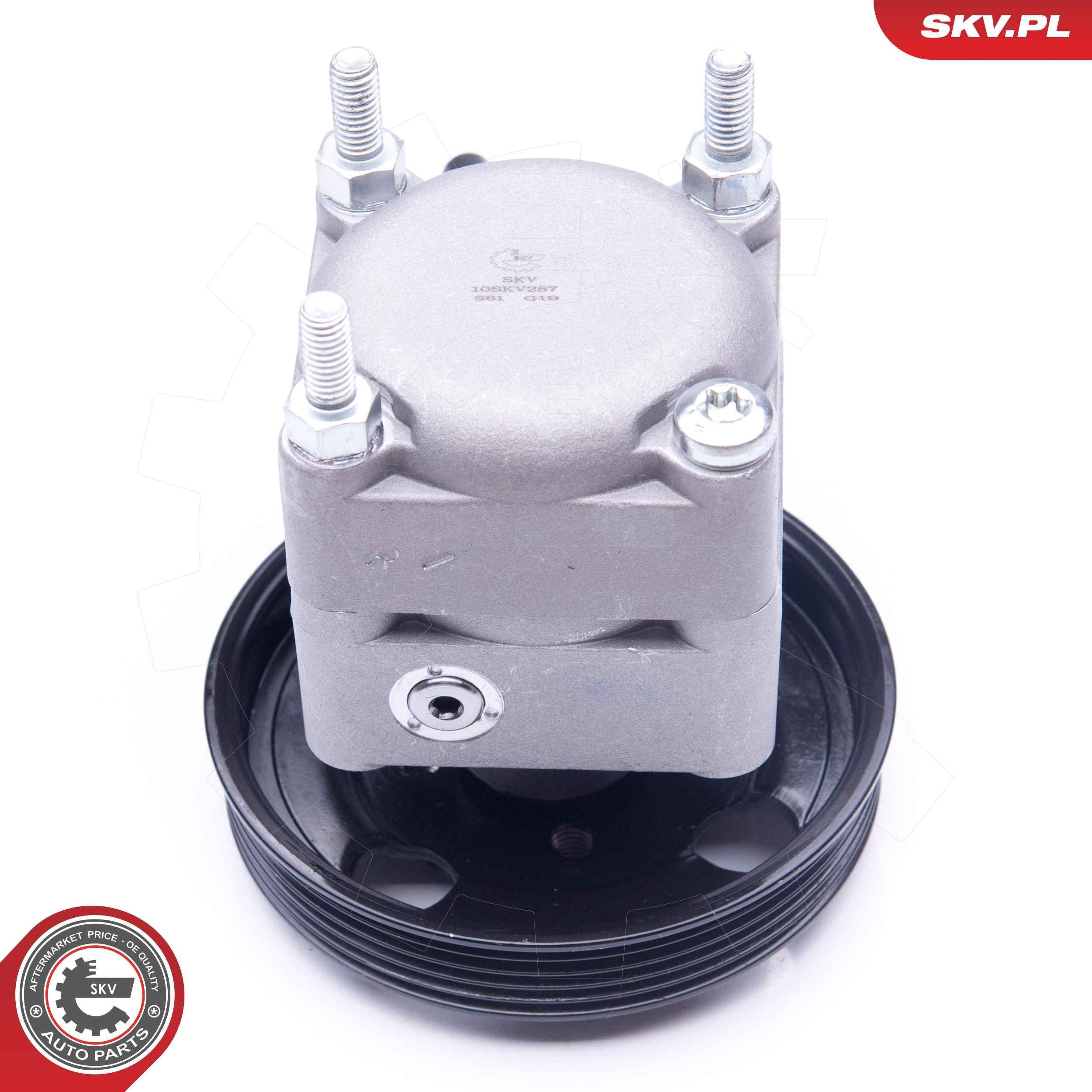 Купить 10SKV257 SKV Насос рулевого управления