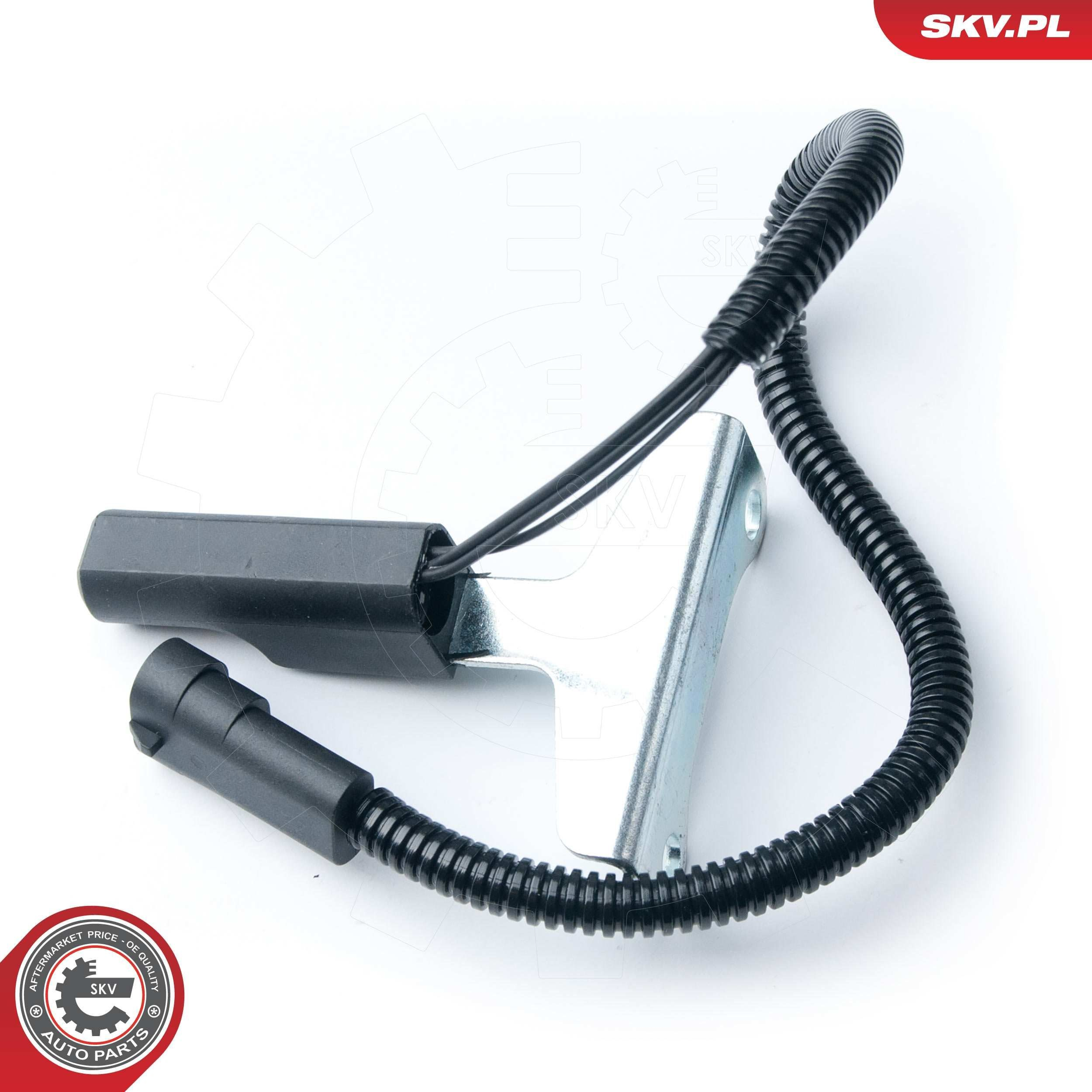 17SKV317 SKV ДПКВ