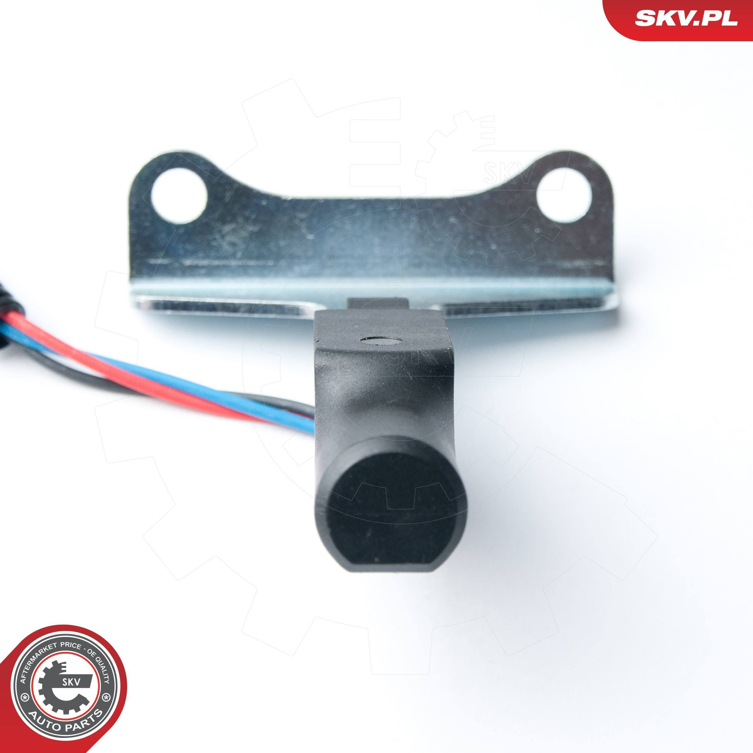 Купить 17SKV318 SKV 