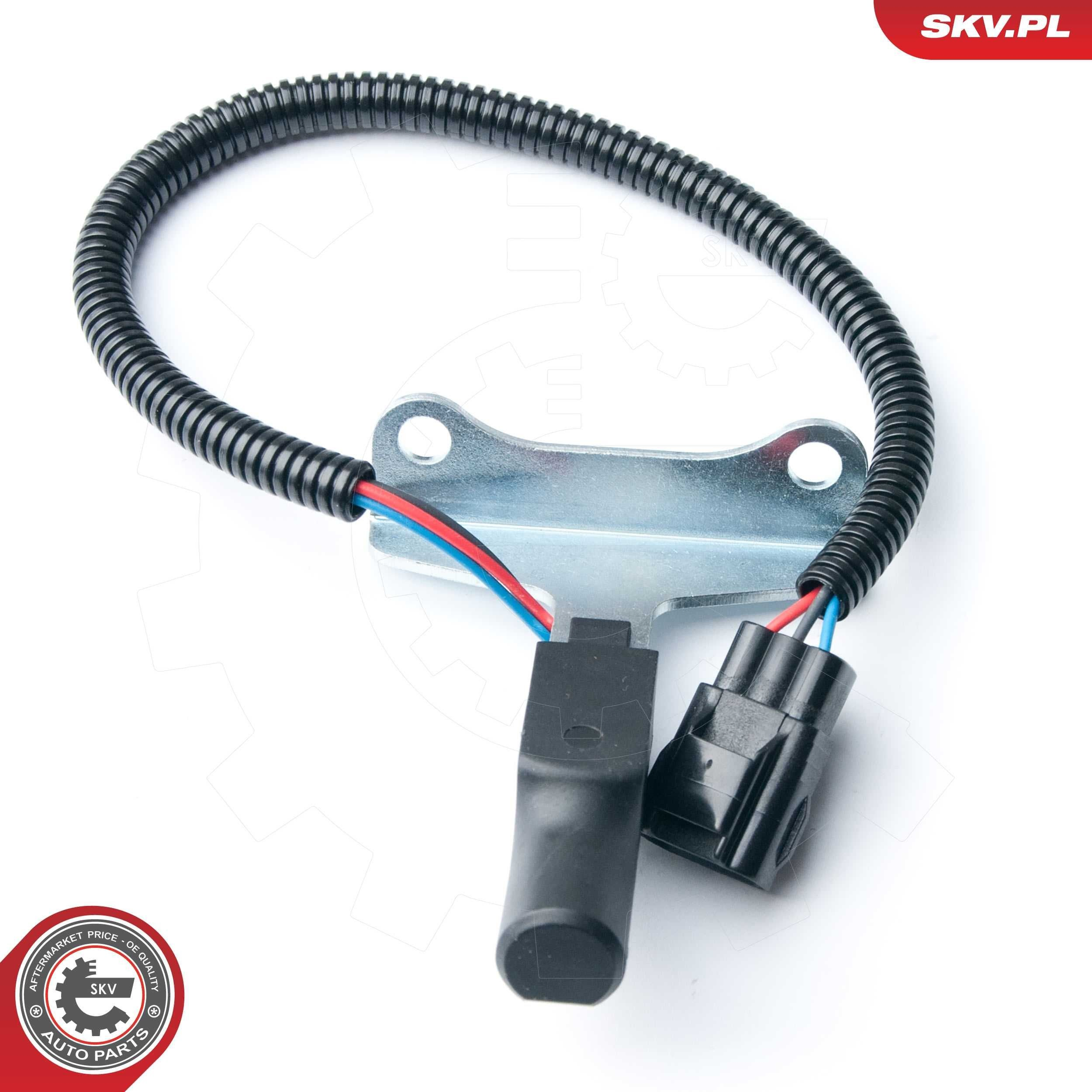  17SKV318 SKV