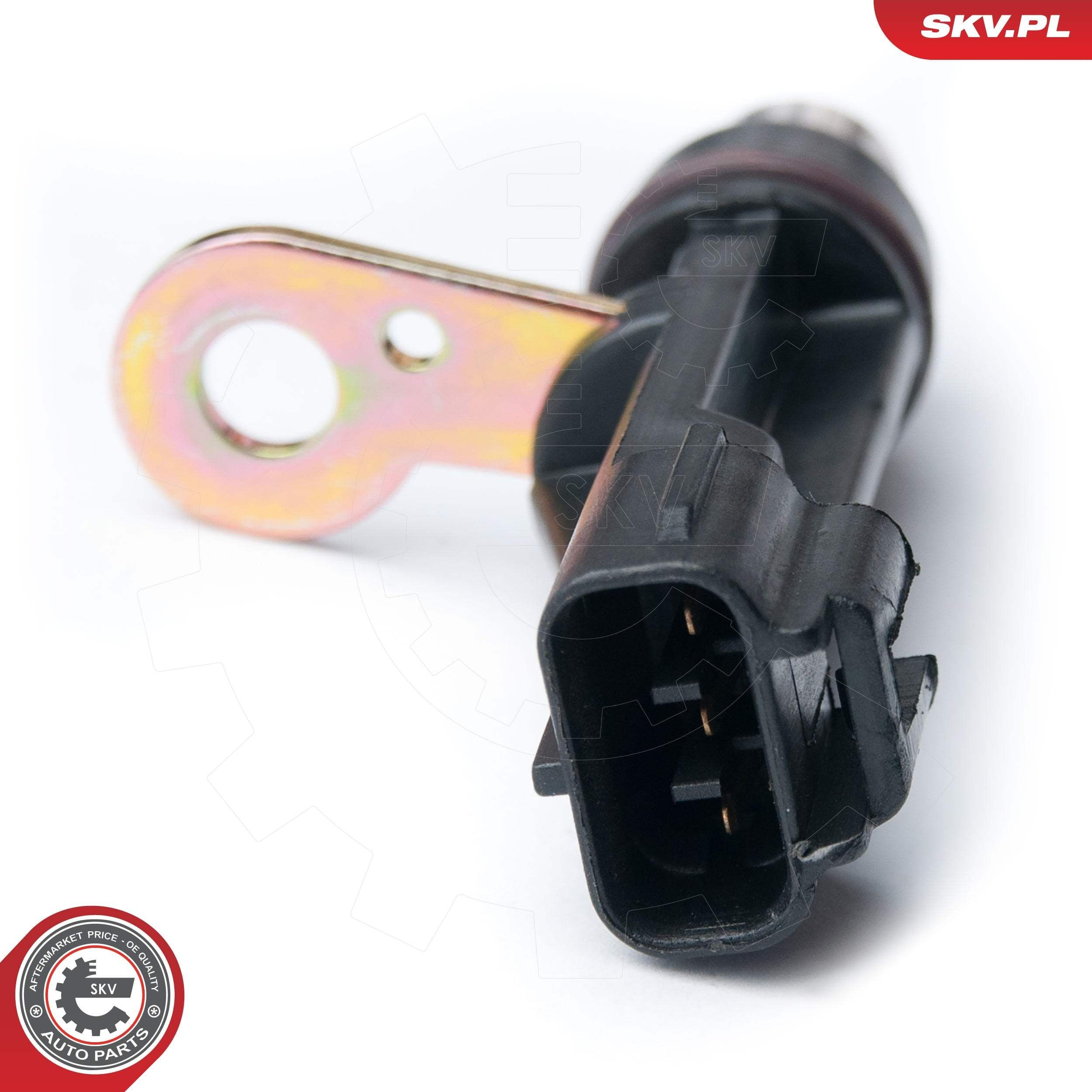 17SKV319 SKV ДПКВ