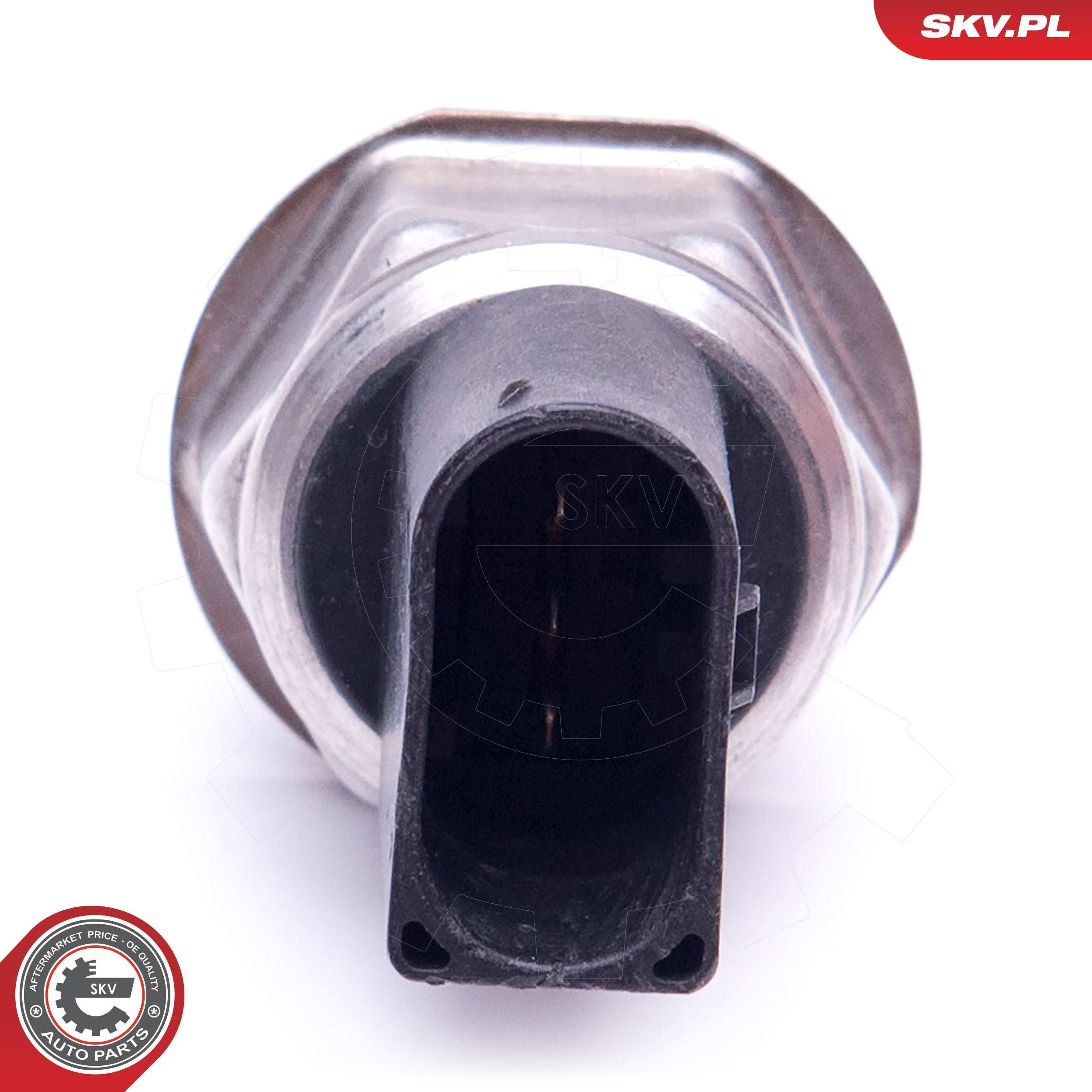 17SKV590 SKV Манометры
