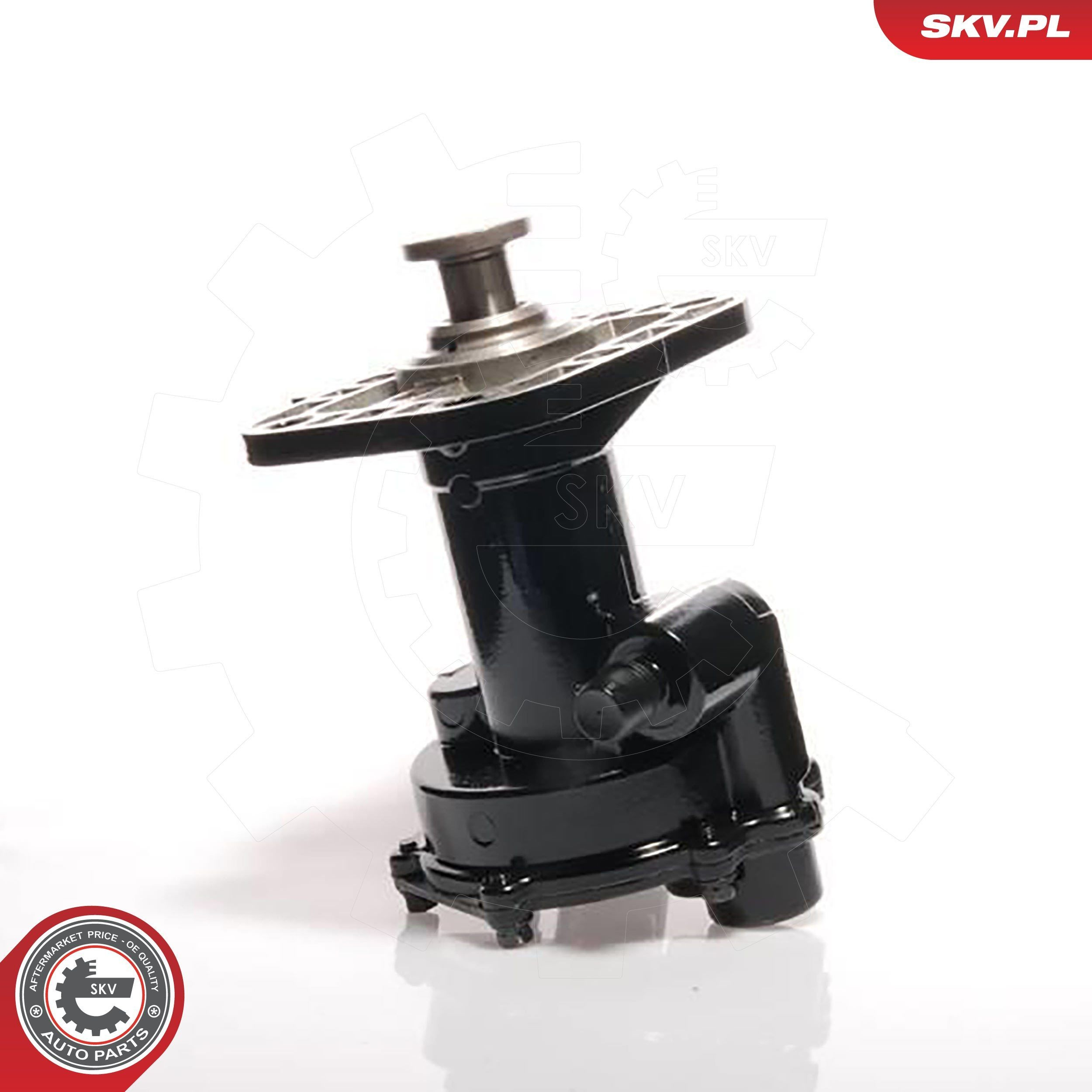 Купить 18SKV011 SKV Вакуумный насос