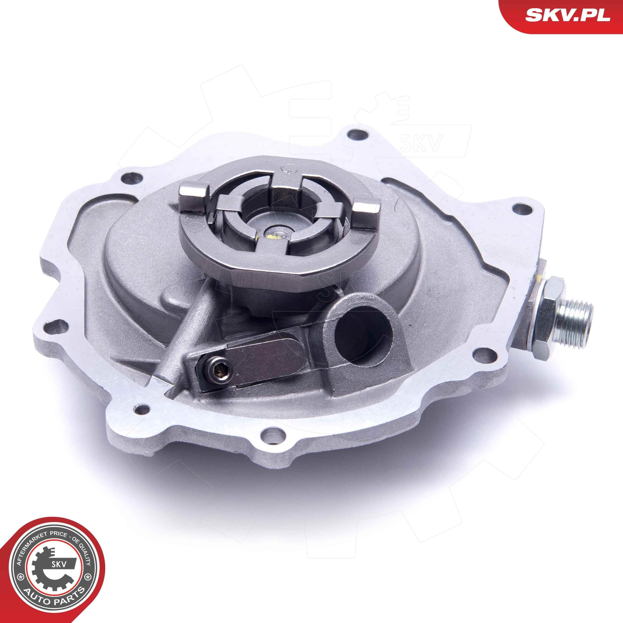 18SKV029 SKV Механический вакуумный насос