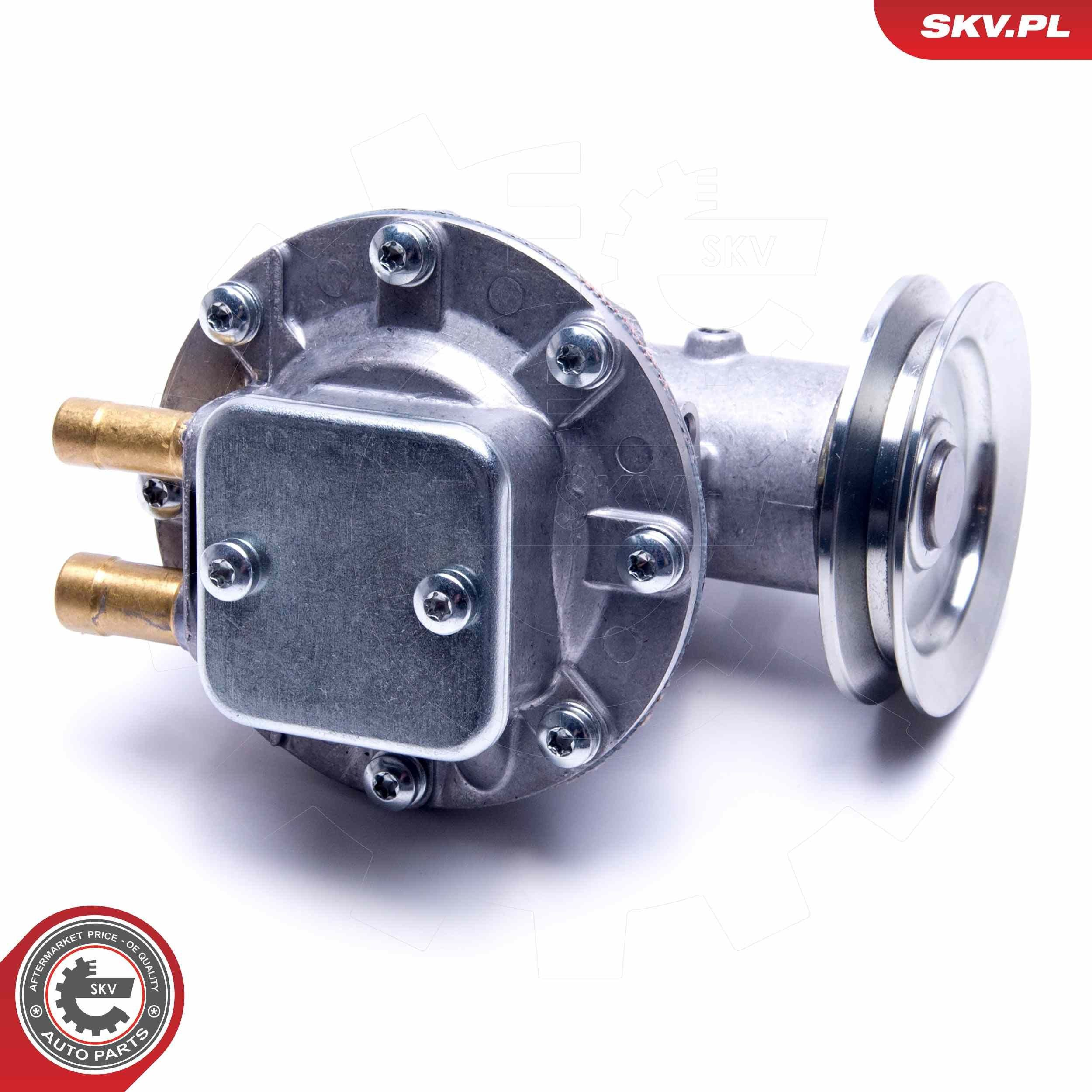 18SKV037 SKV Механический вакуумный насос
