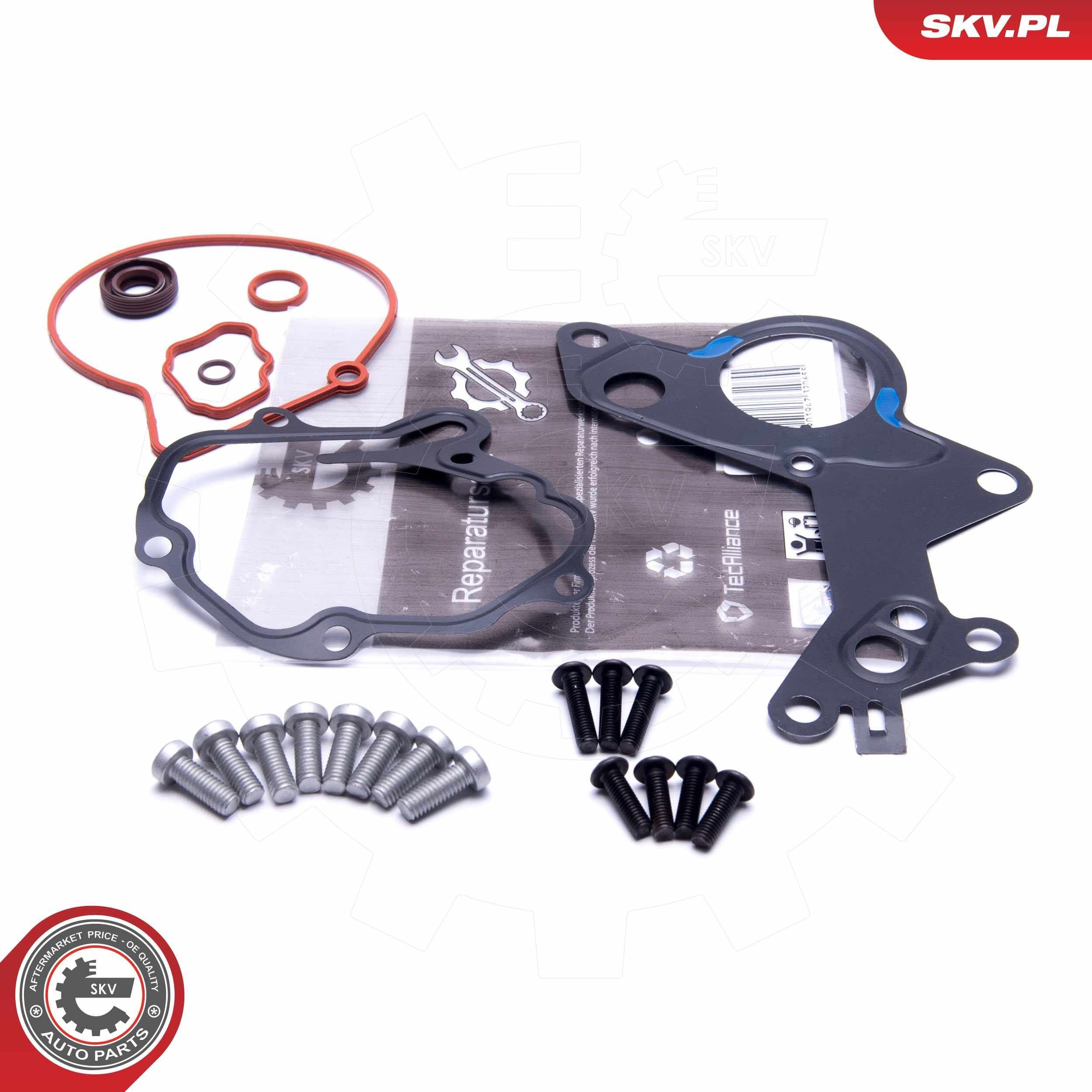 Купить 18SKV801 SKV Ремкомплект вакуумного насоса