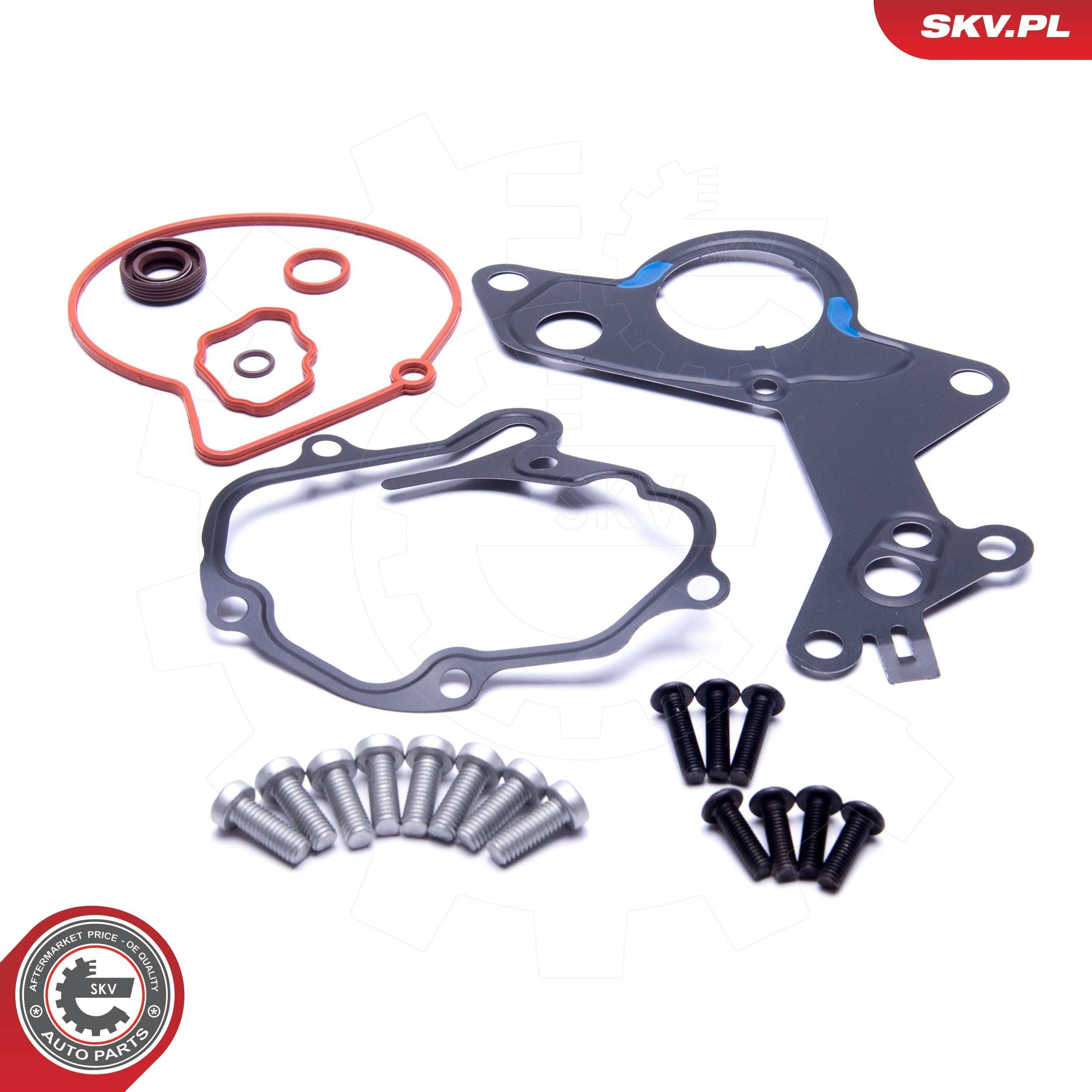 Ремкомплект вакуумного насоса SKV 18SKV801 цена, от 33.35 USD