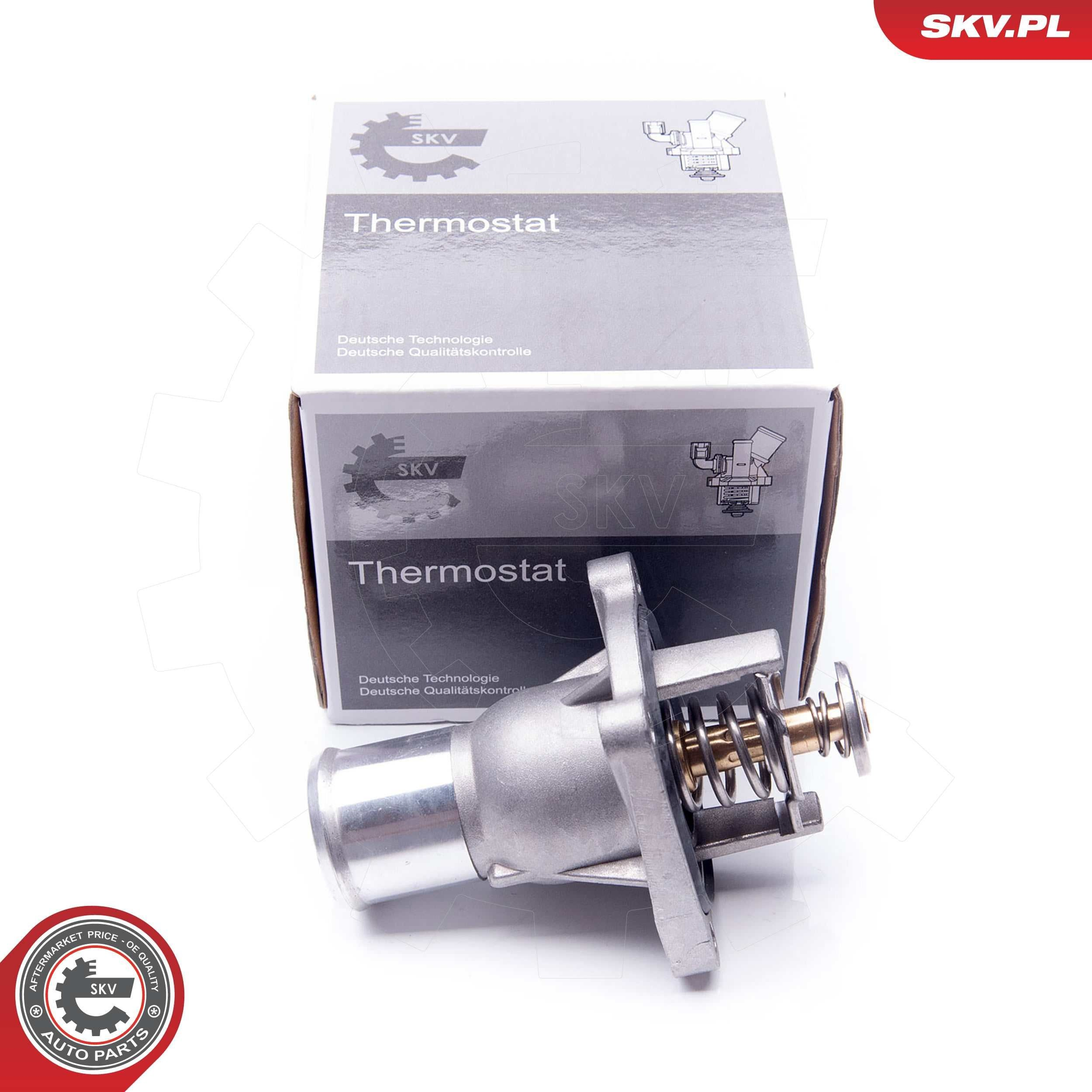 Термостат в сборе SKV 20SKV081