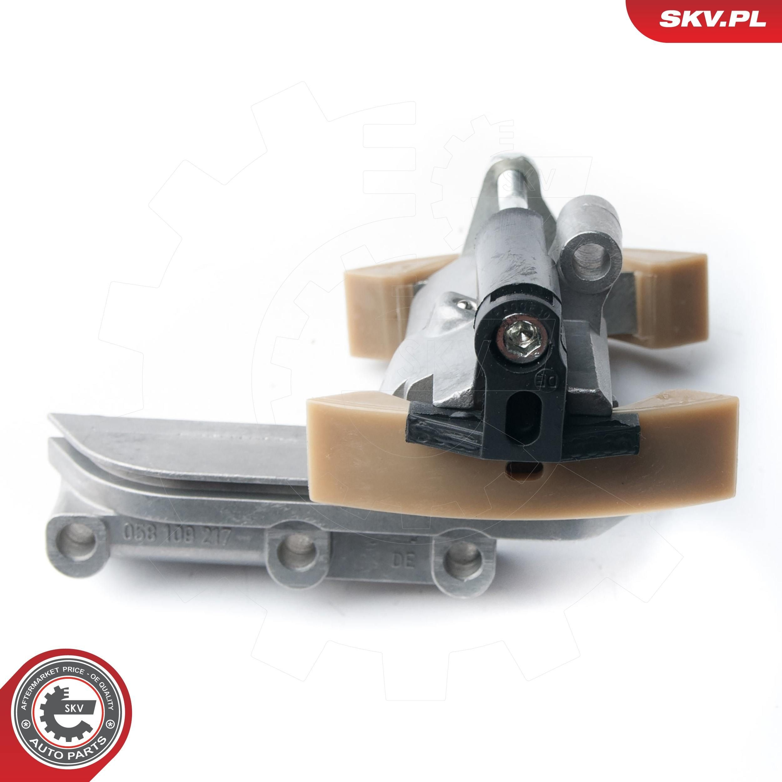 21SKV011 SKV Гидронатяжитель цепи