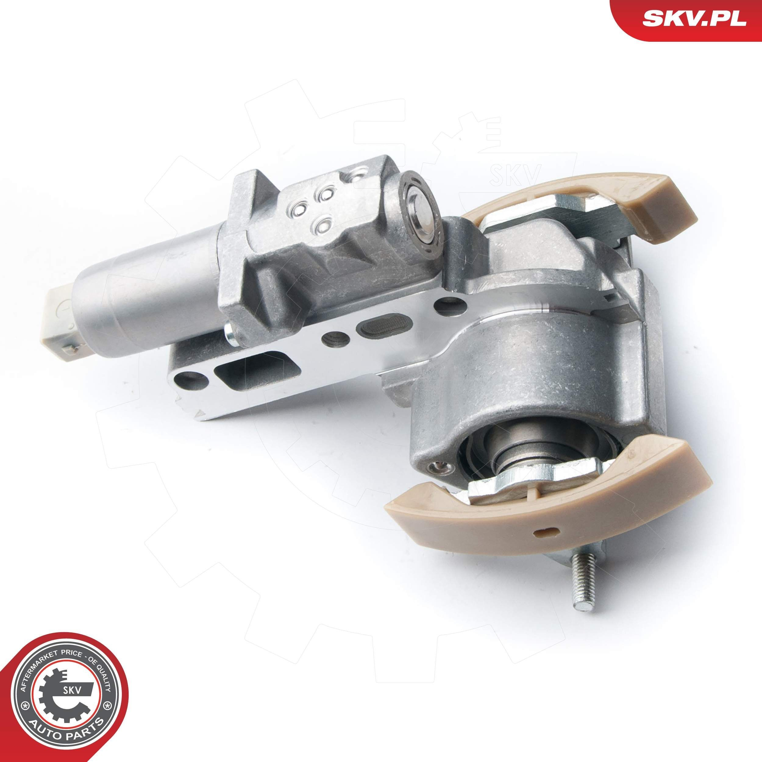 Регулятор фаз газораспределения 21SKV061 SKV