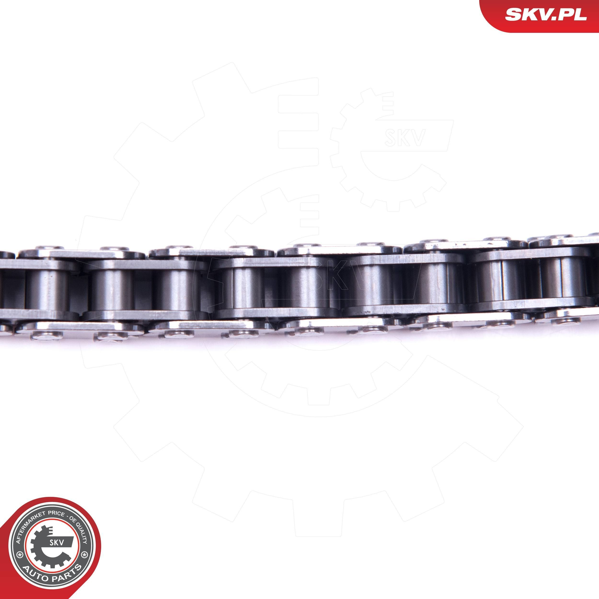 Комплект цепи ГРМ 21SKV110 SKV