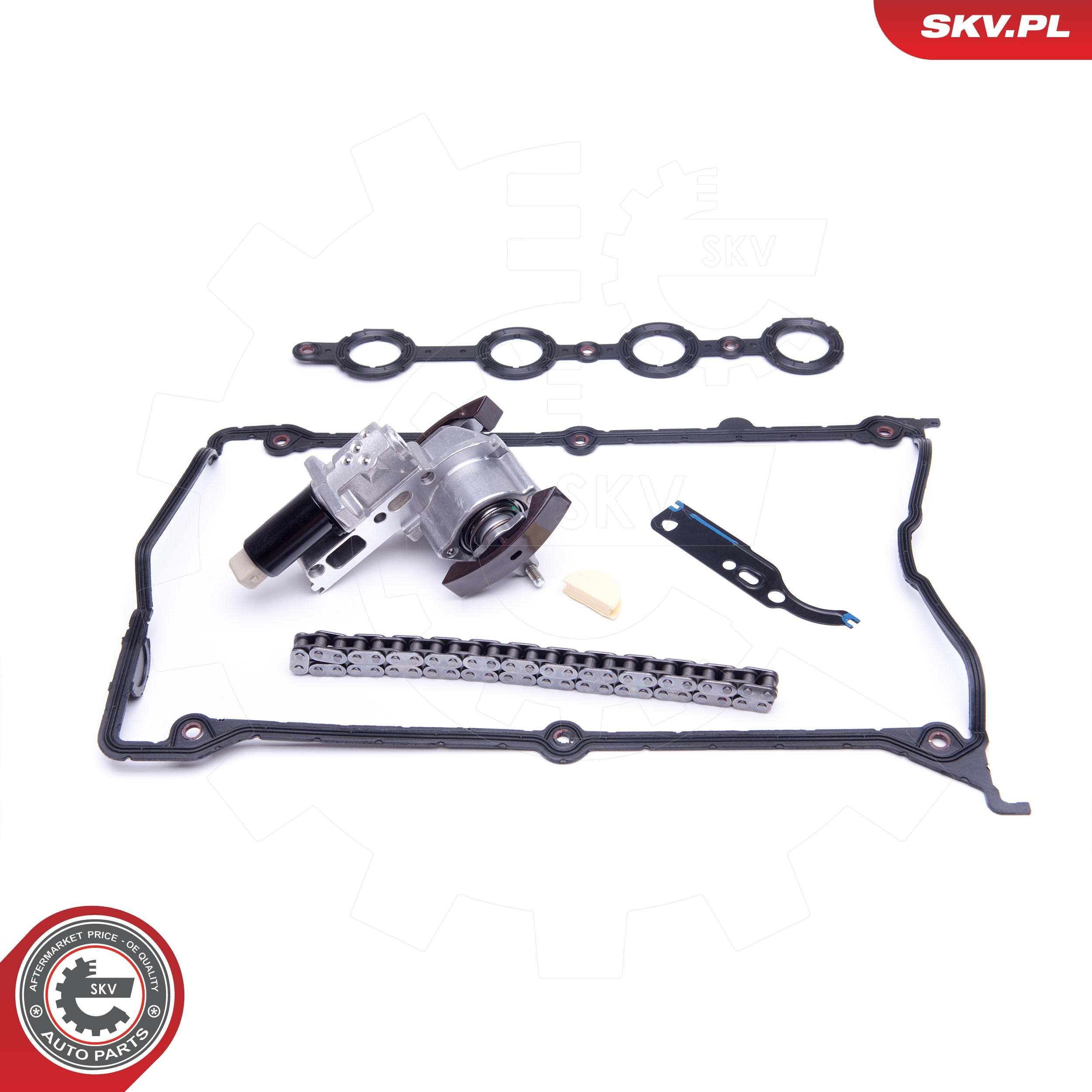 Цепь ГРМ, комплект SKV 21SKV110