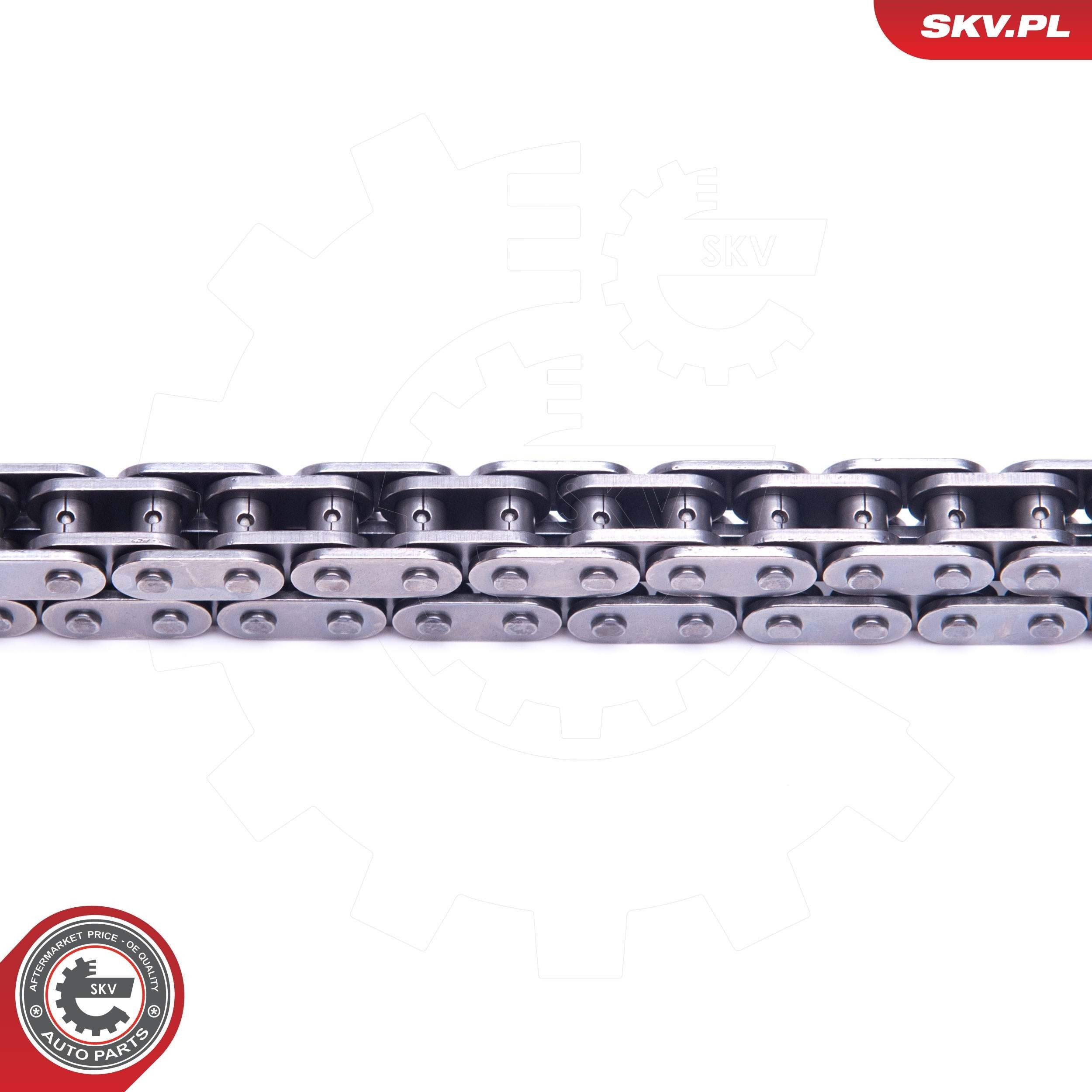 Комплект цепи ГРМ 21SKV141 SKV