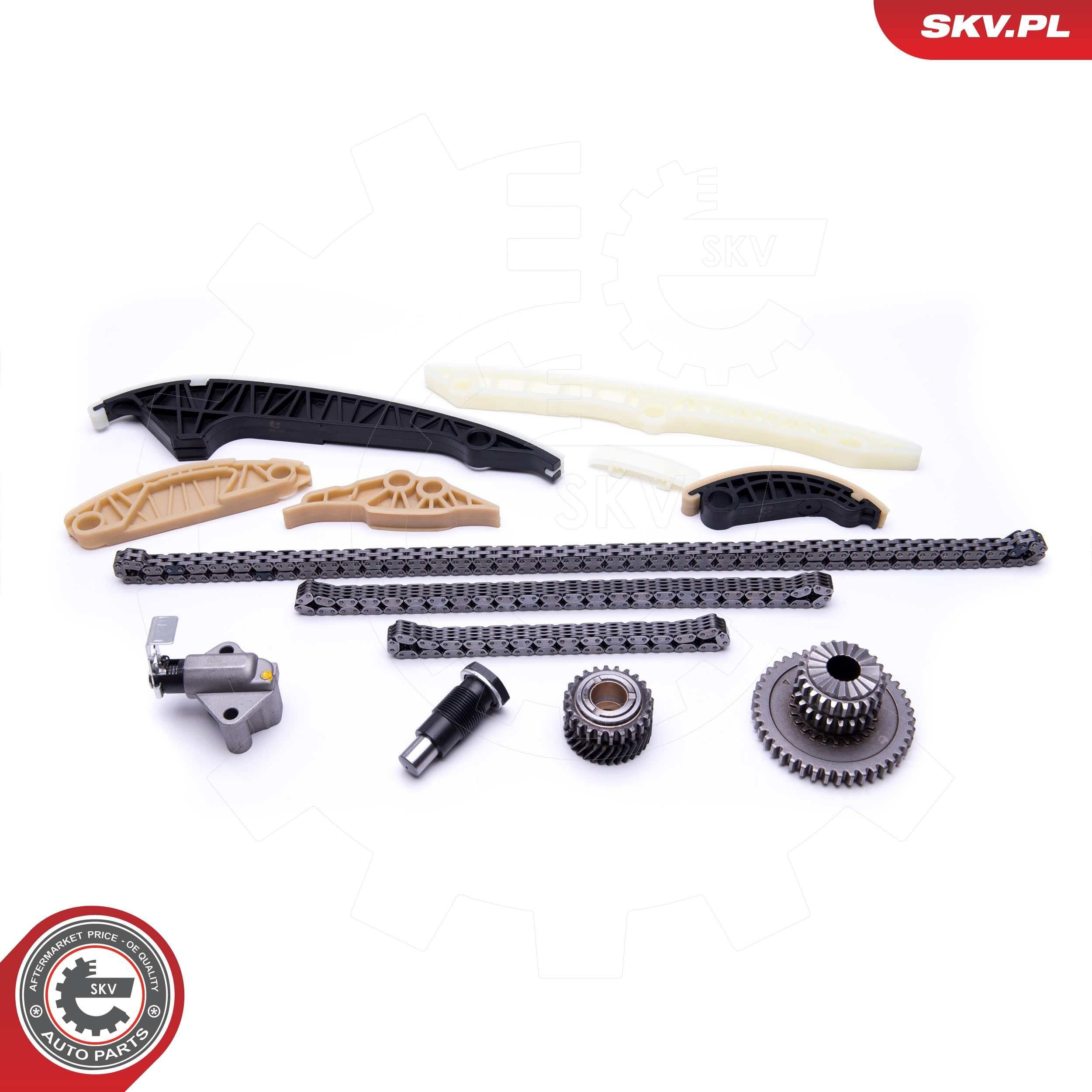 Комплект цепи ГРМ 21SKV163 SKV