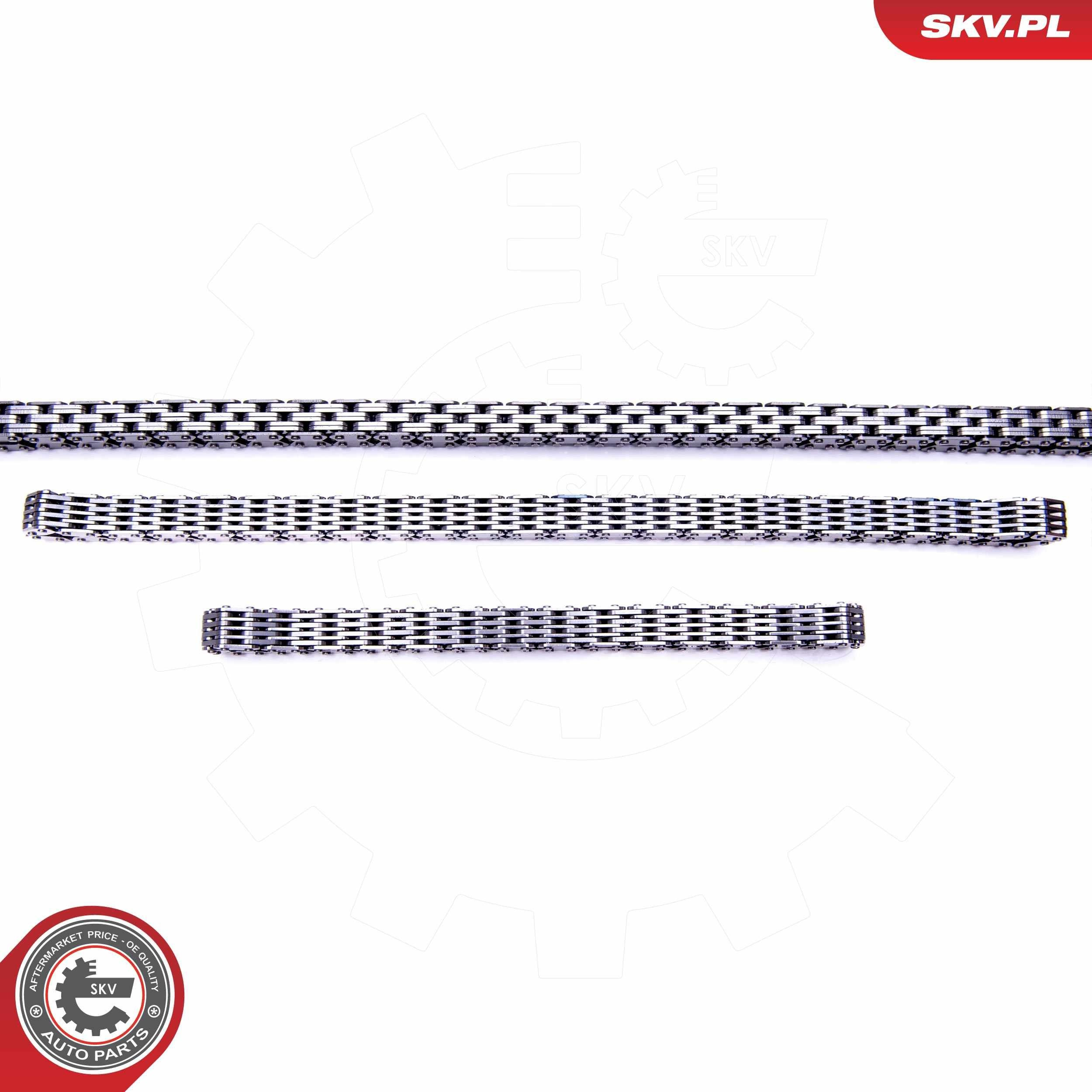 Купить 21SKV163 SKV Набор цепи грм
