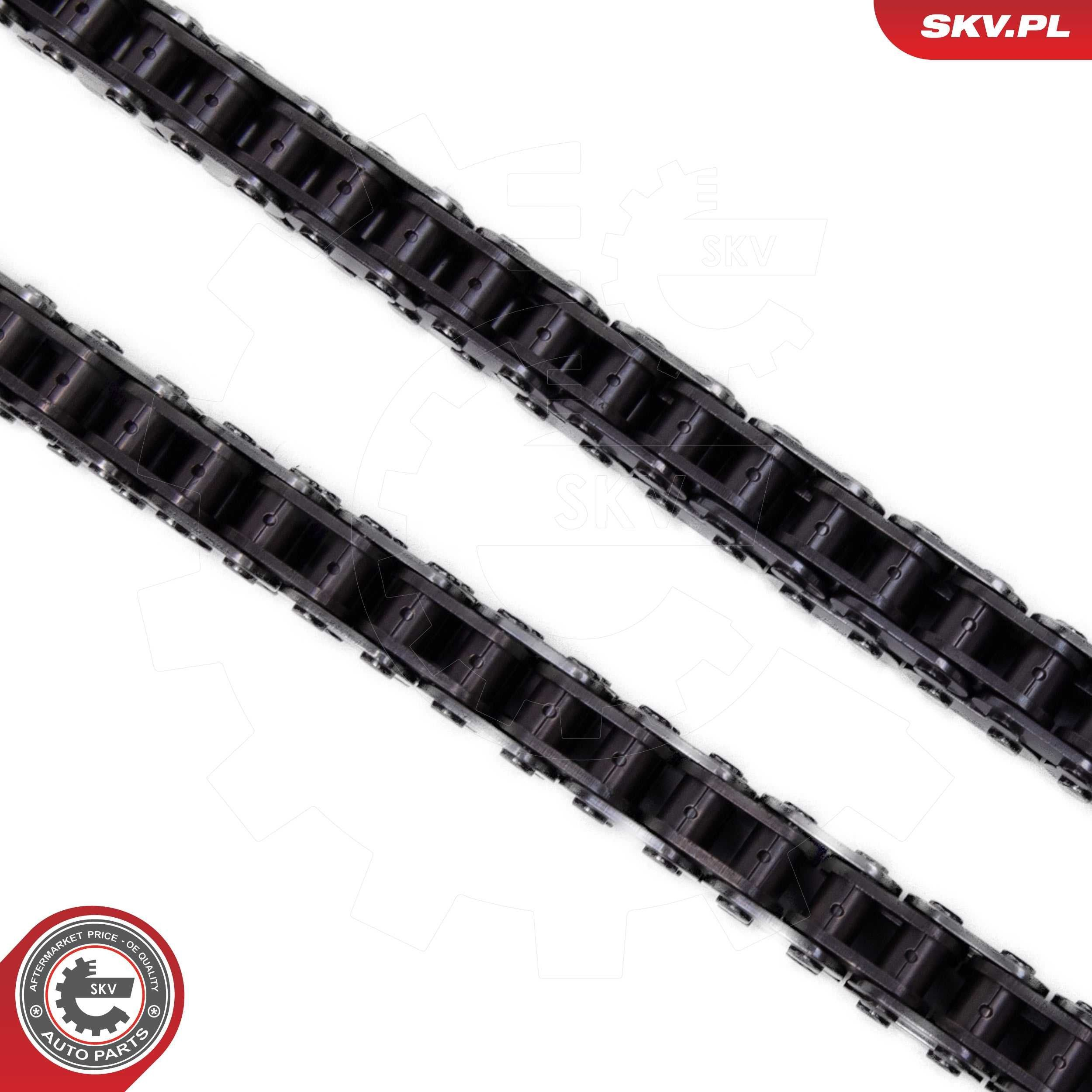 Комплект цепи ТНВД SKV 21SKV166