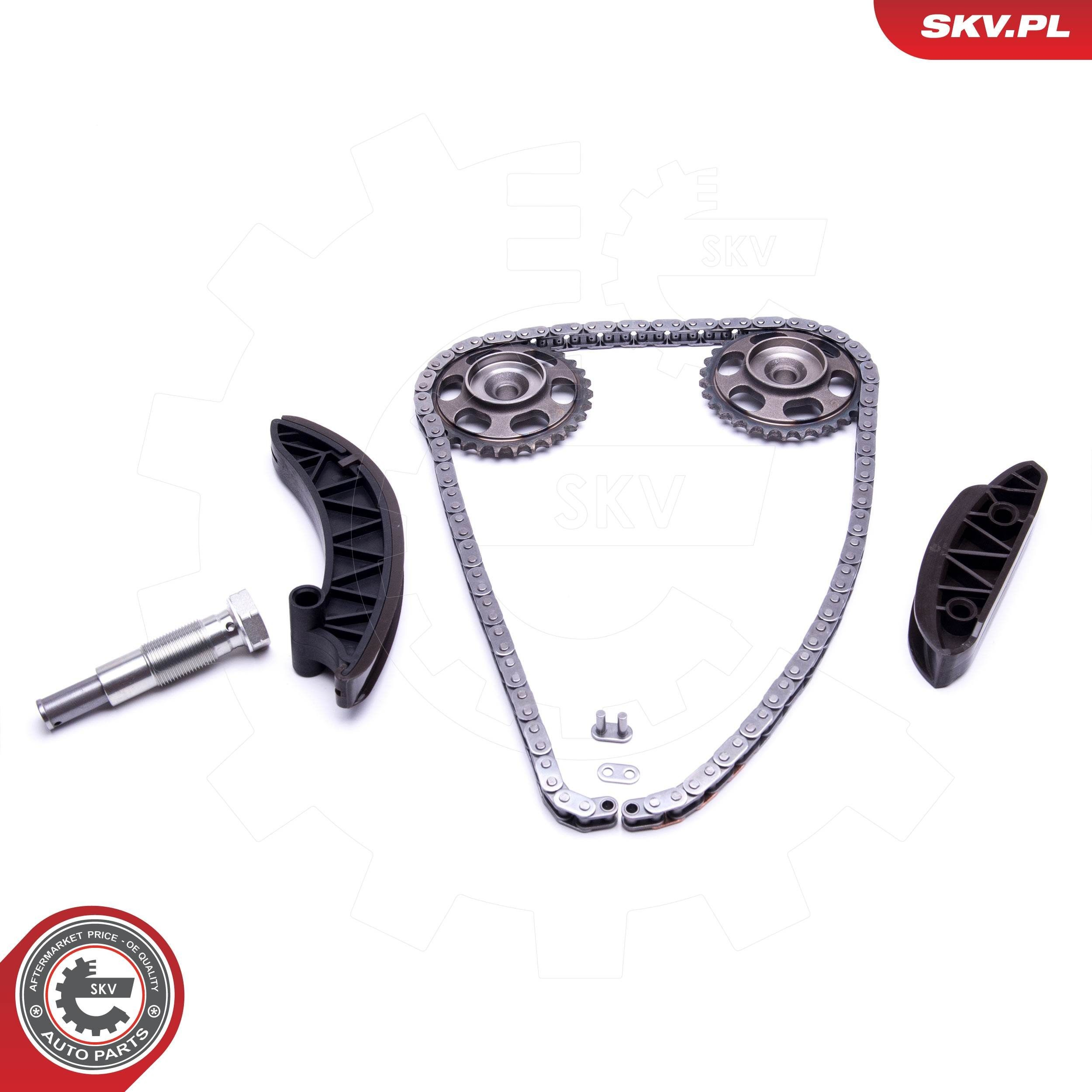 Комплект цепи ГРМ 21SKV172 SKV