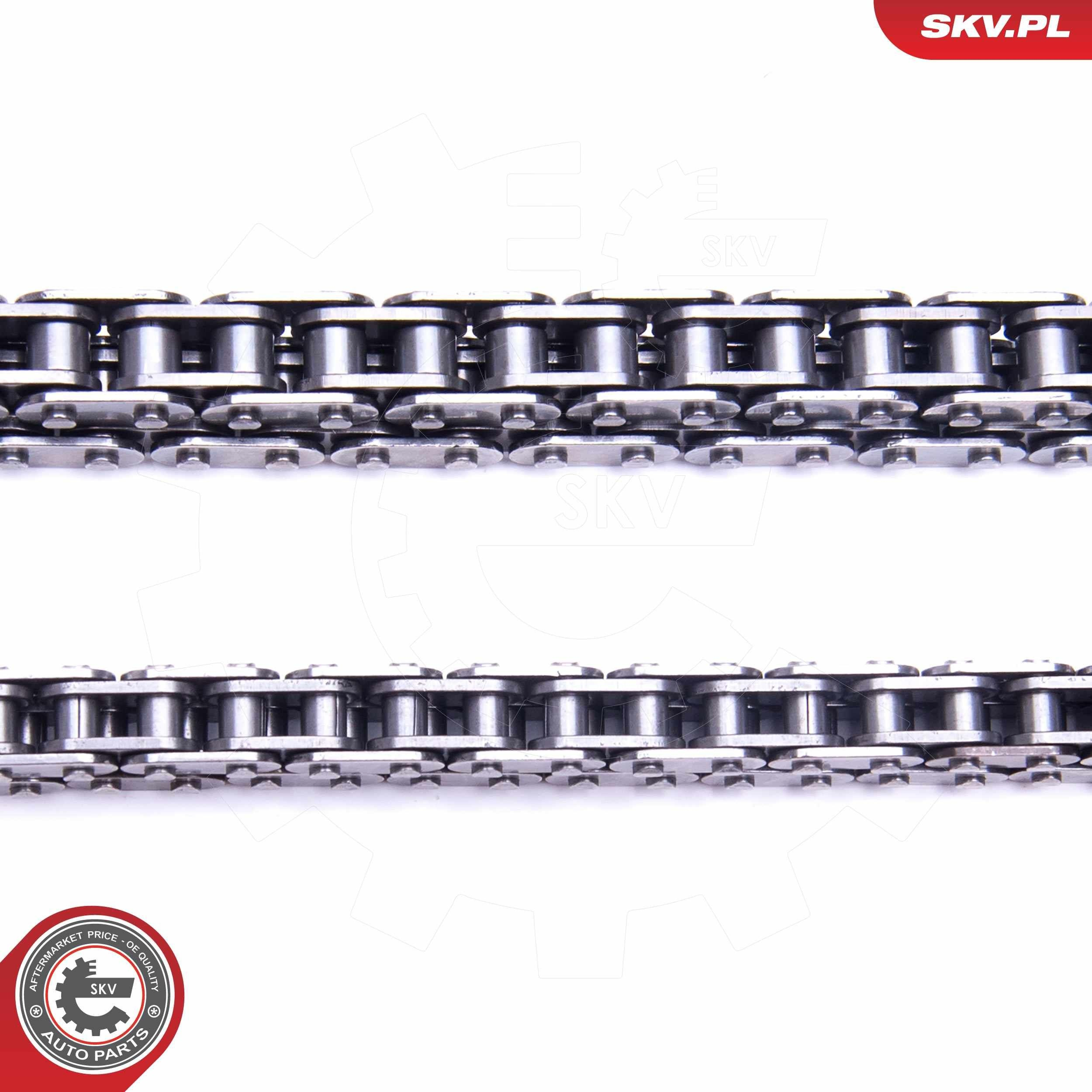 Цепь ГРМ, комплект SKV 21SKV195