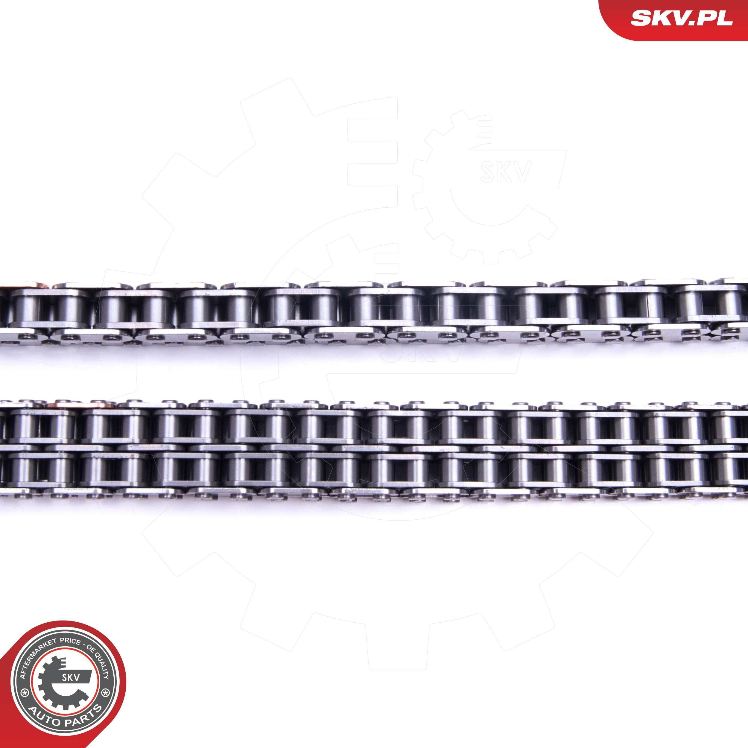 Купить 21SKV203 SKV Набор цепи грм