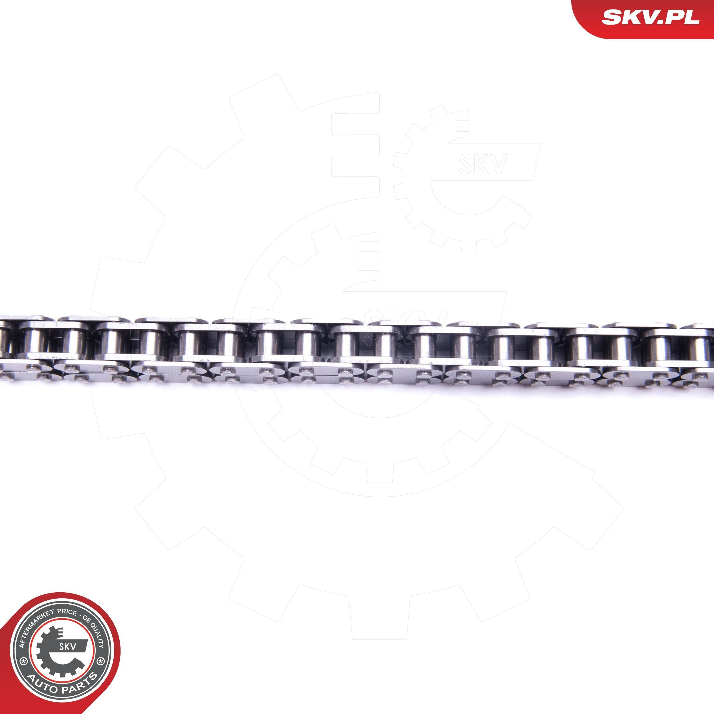 Купить 21SKV216 SKV Набор цепи грм