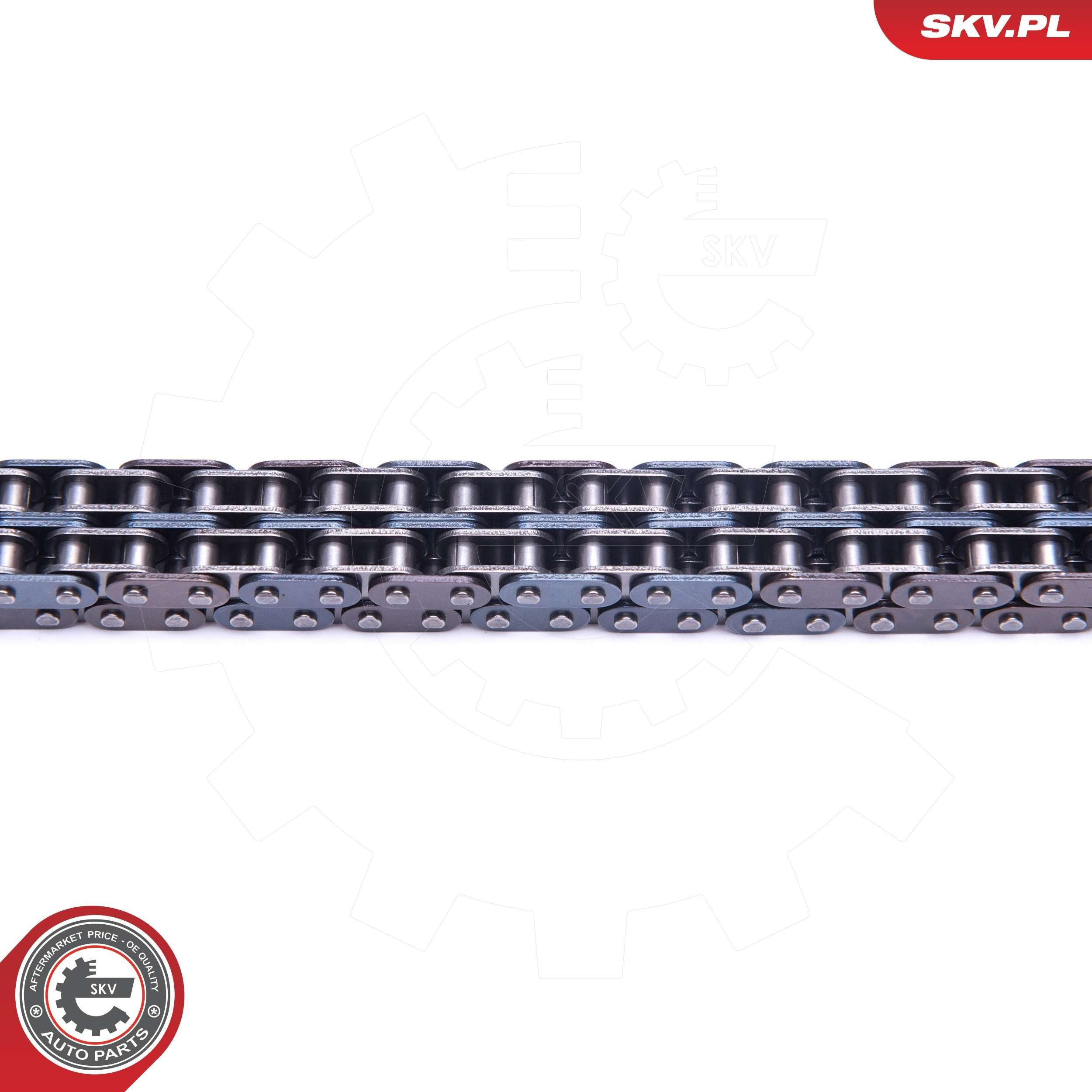 Цепь ГРМ, комплект SKV 21SKV218