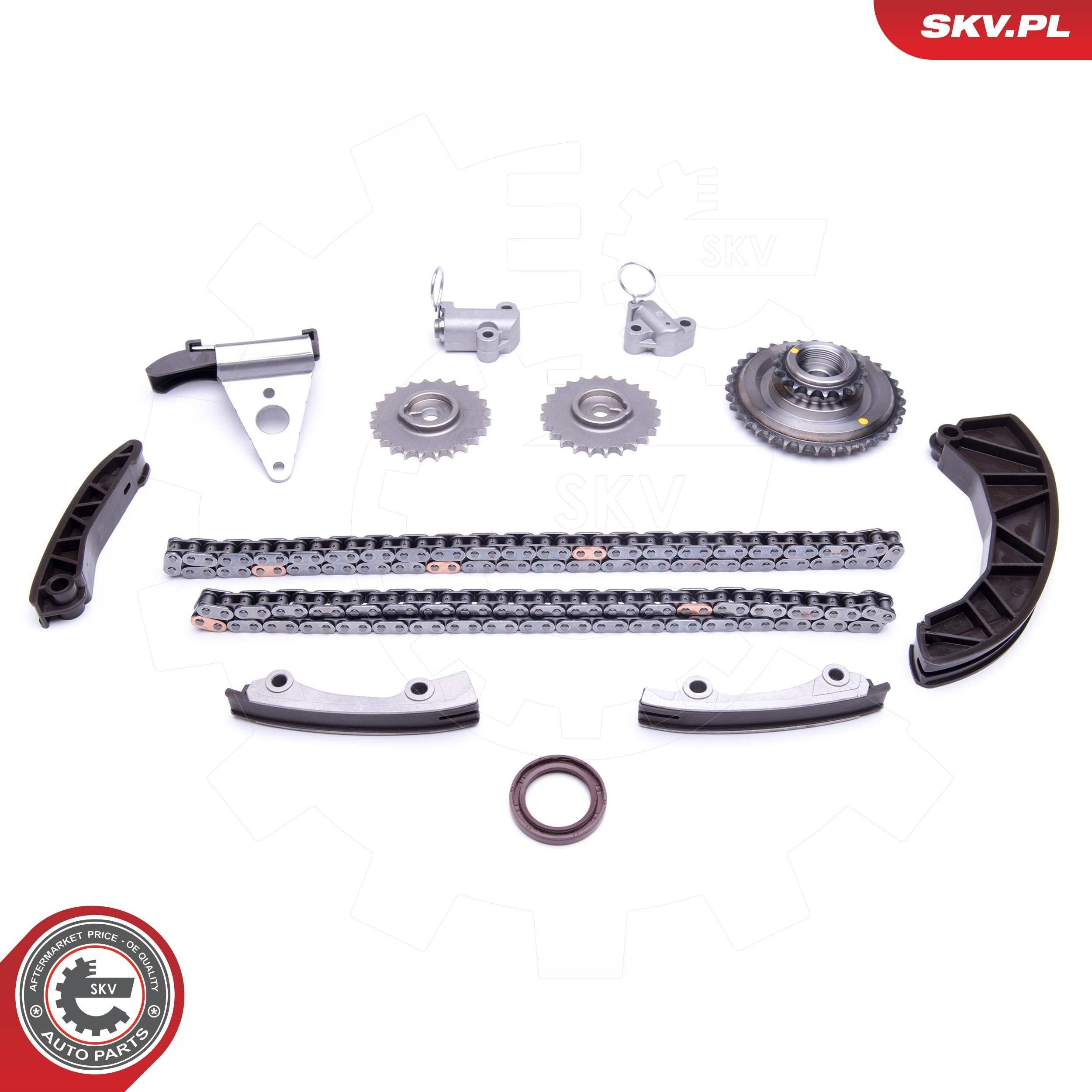 Купить 21SKV225 SKV Набор цепи грм