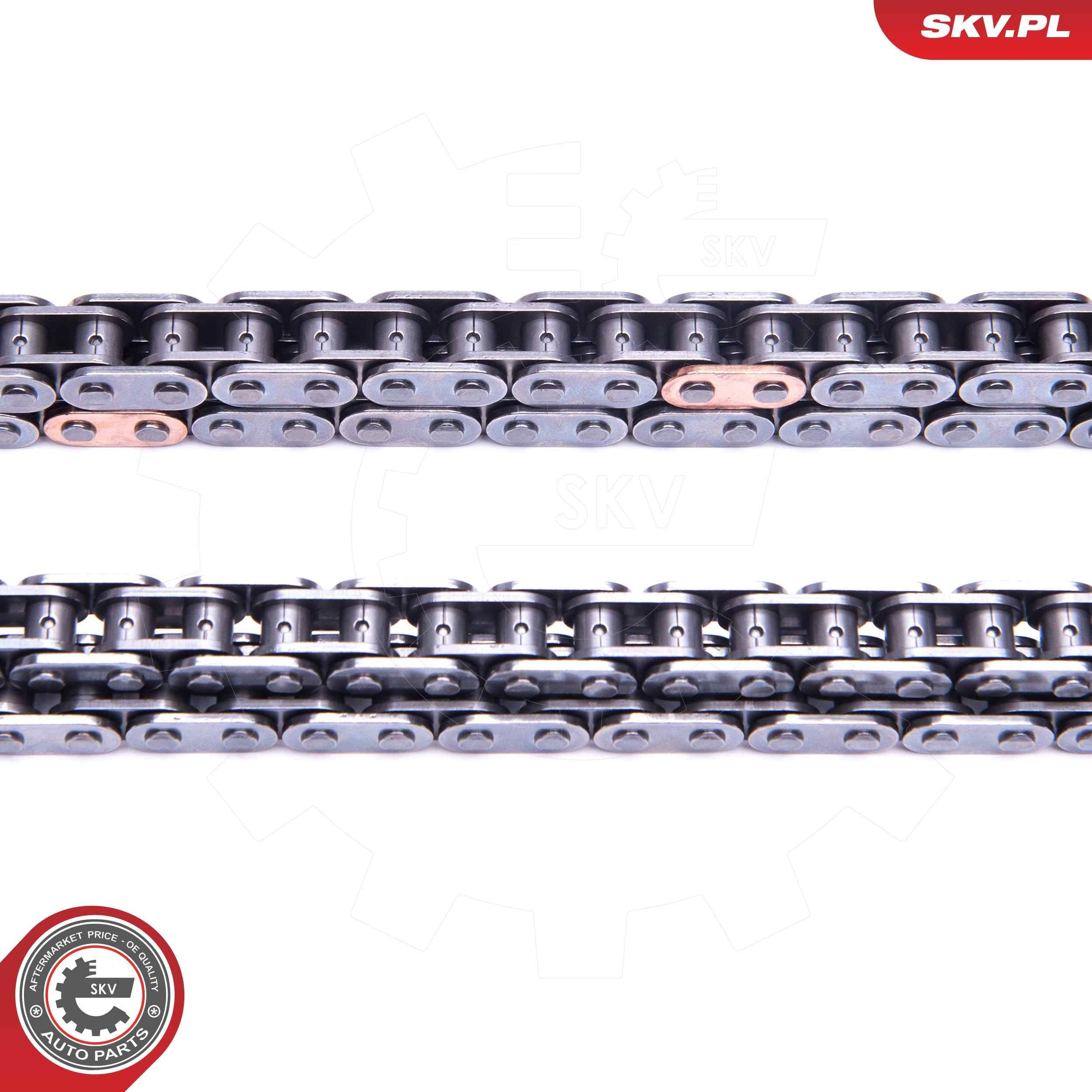 Цепь ГРМ, комплект SKV 21SKV225