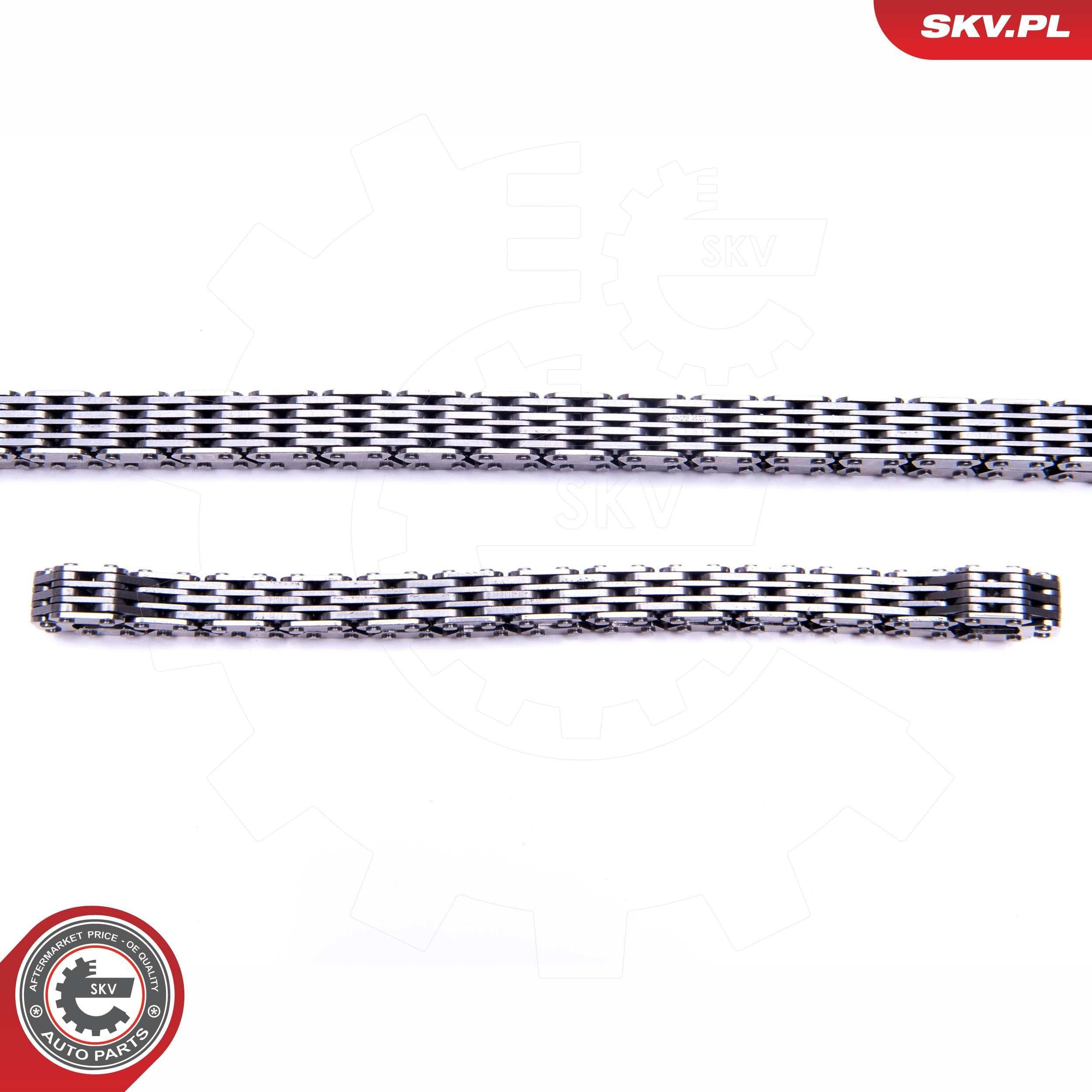 Купить 21SKV248 SKV Набор цепи грм