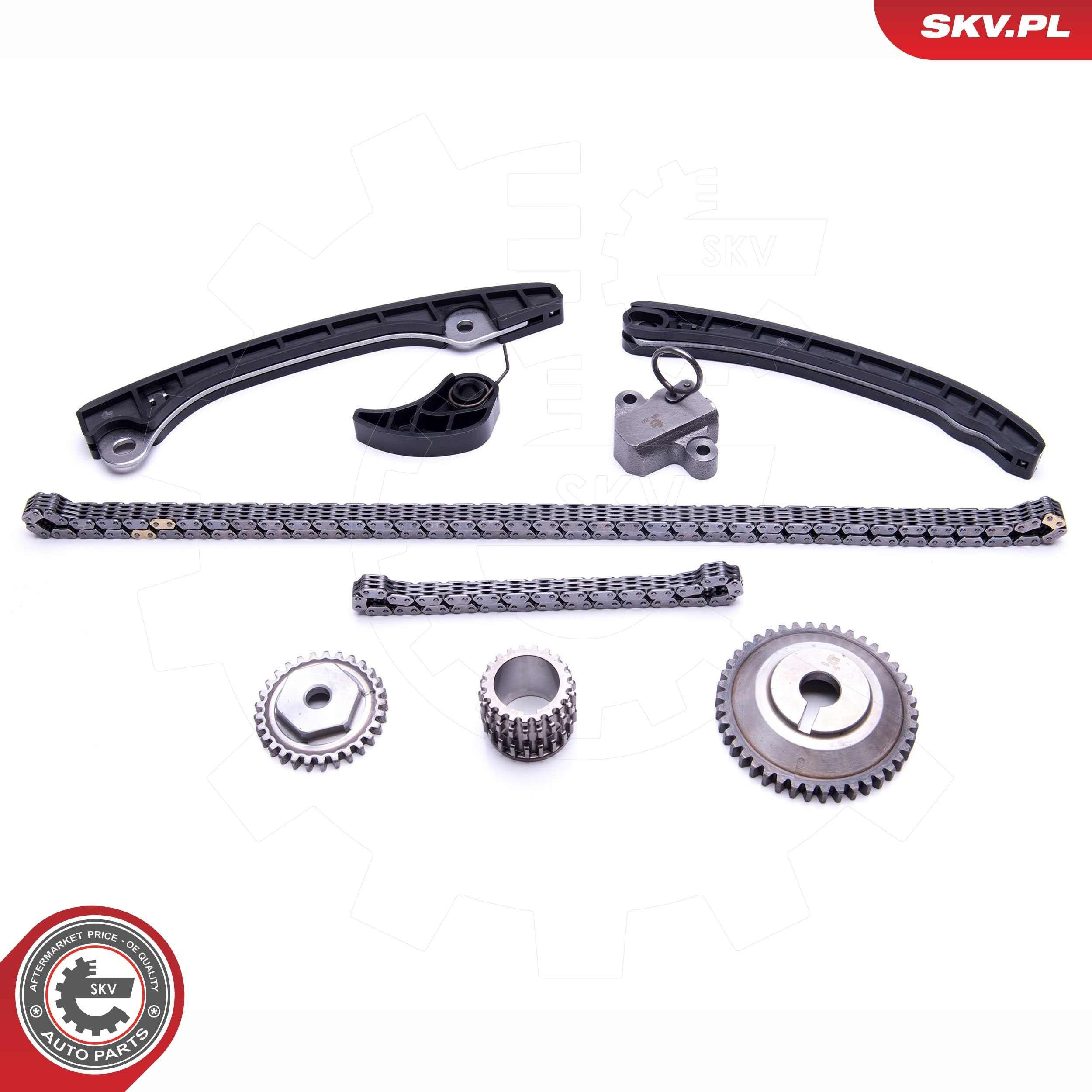 Комплект цепи ГРМ 21SKV248 SKV