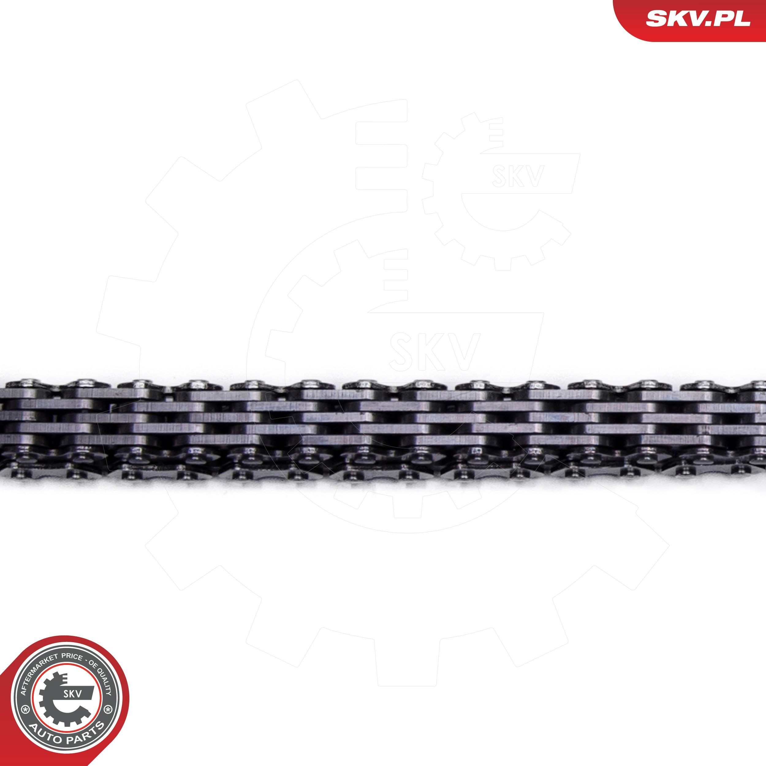Купить 21SKV253 SKV 