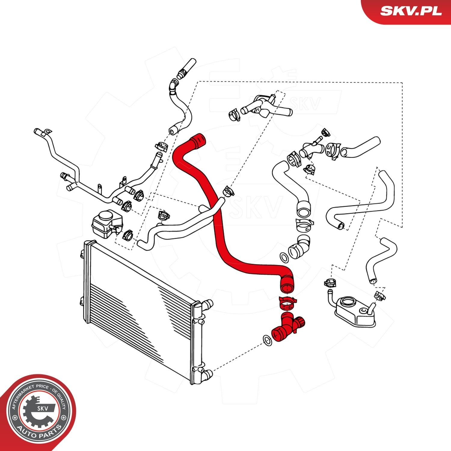 Купить 24SKV344 SKV Шланг радиатора охлаждения нижний
