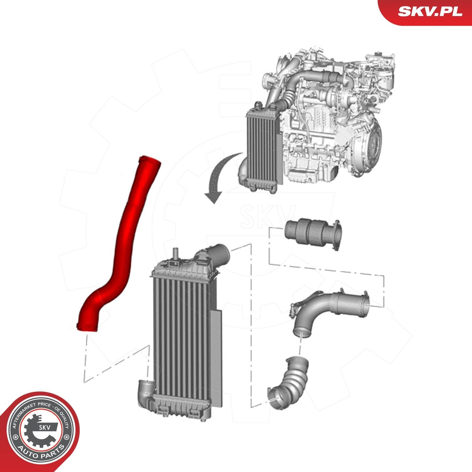 Патрубок интеркулера 24SKV590 SKV