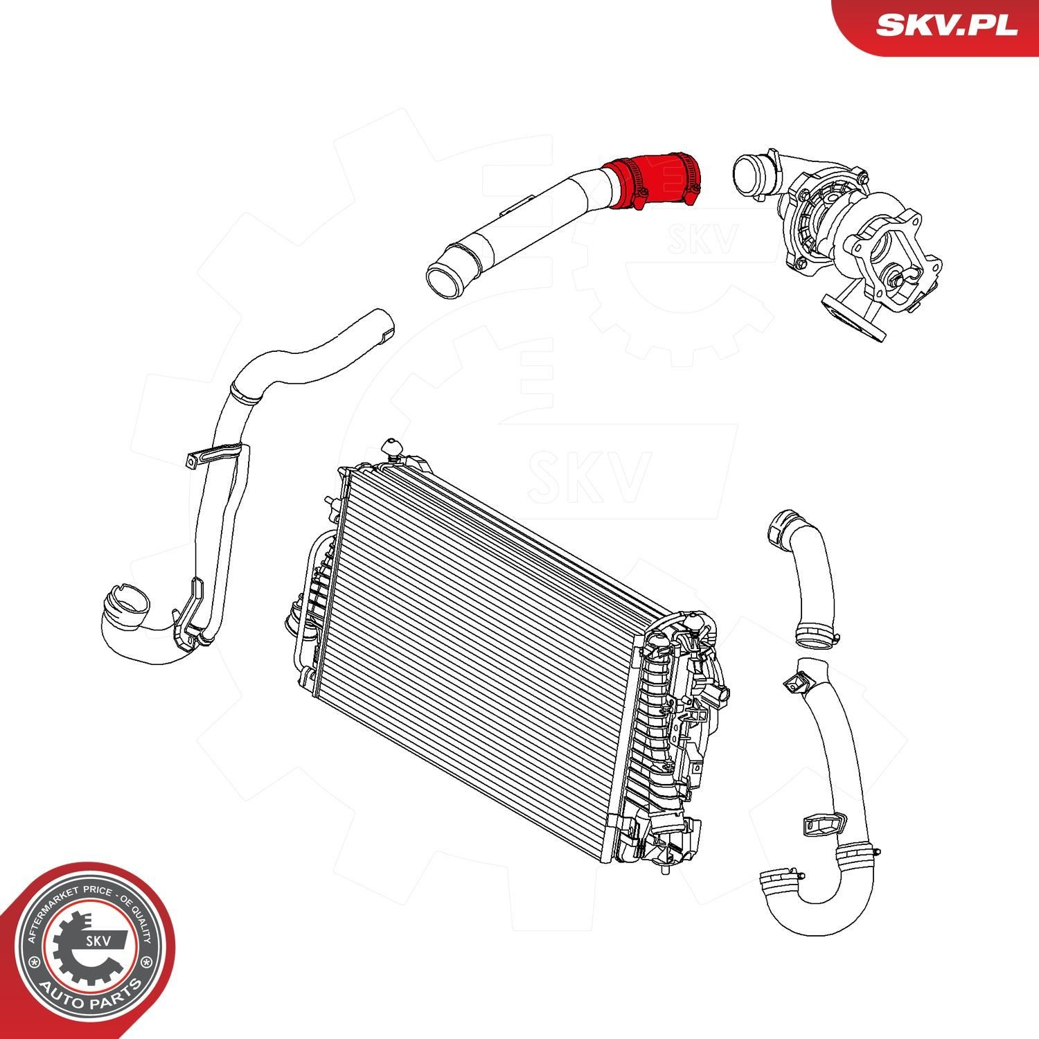  SKV 24SKV860