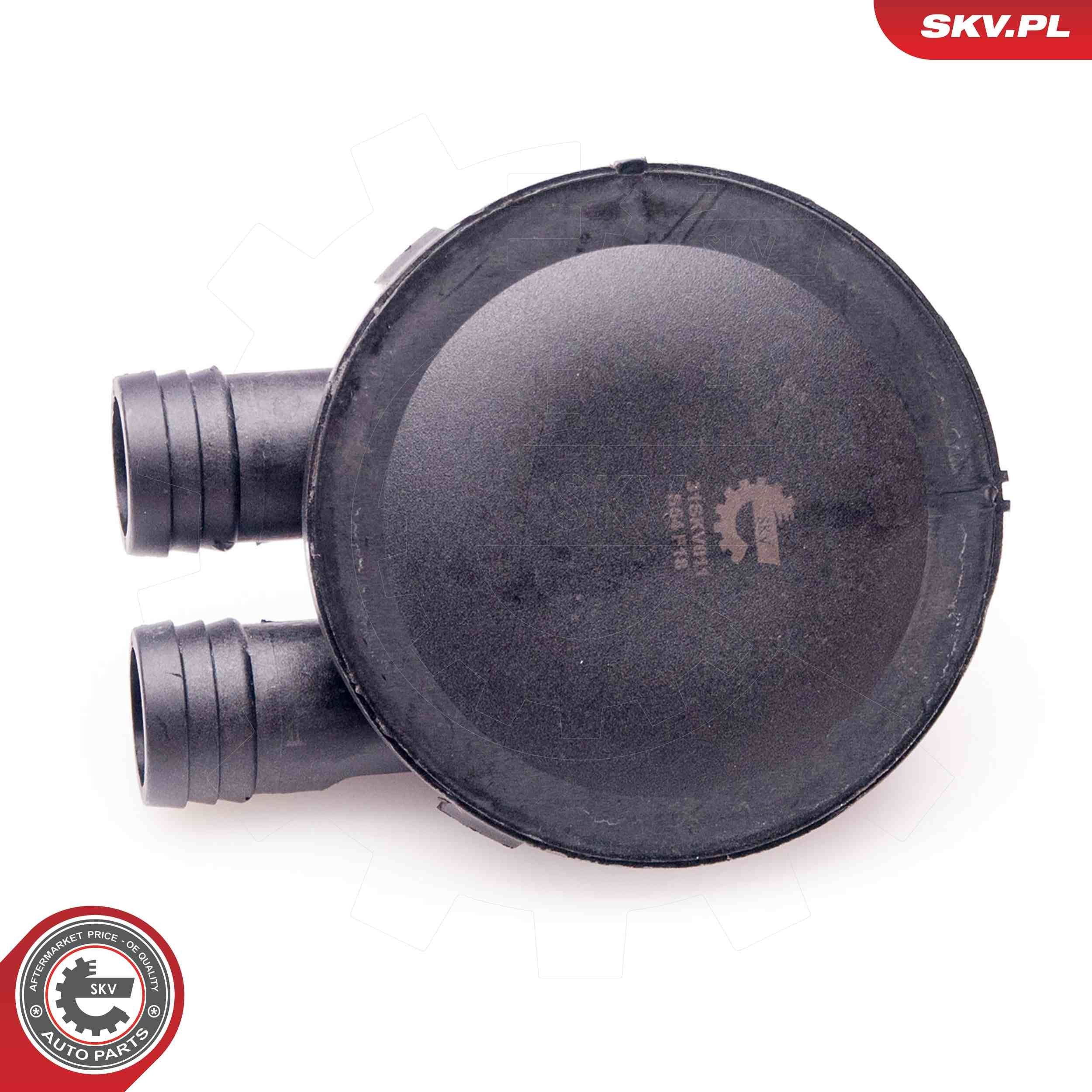 Клапан вентиляции картерных газов SKV 31SKV011